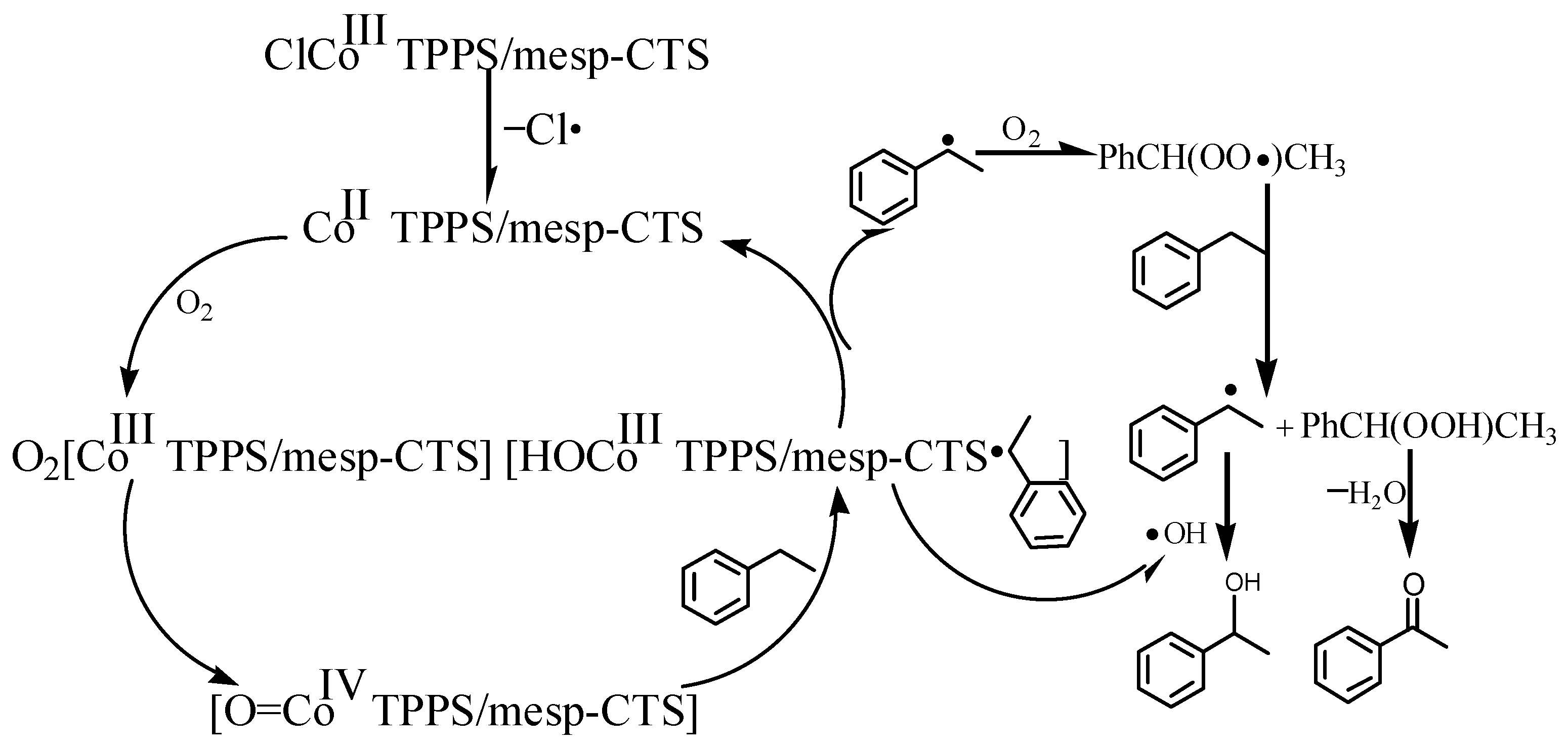 Catalysts 08 00199 sch001