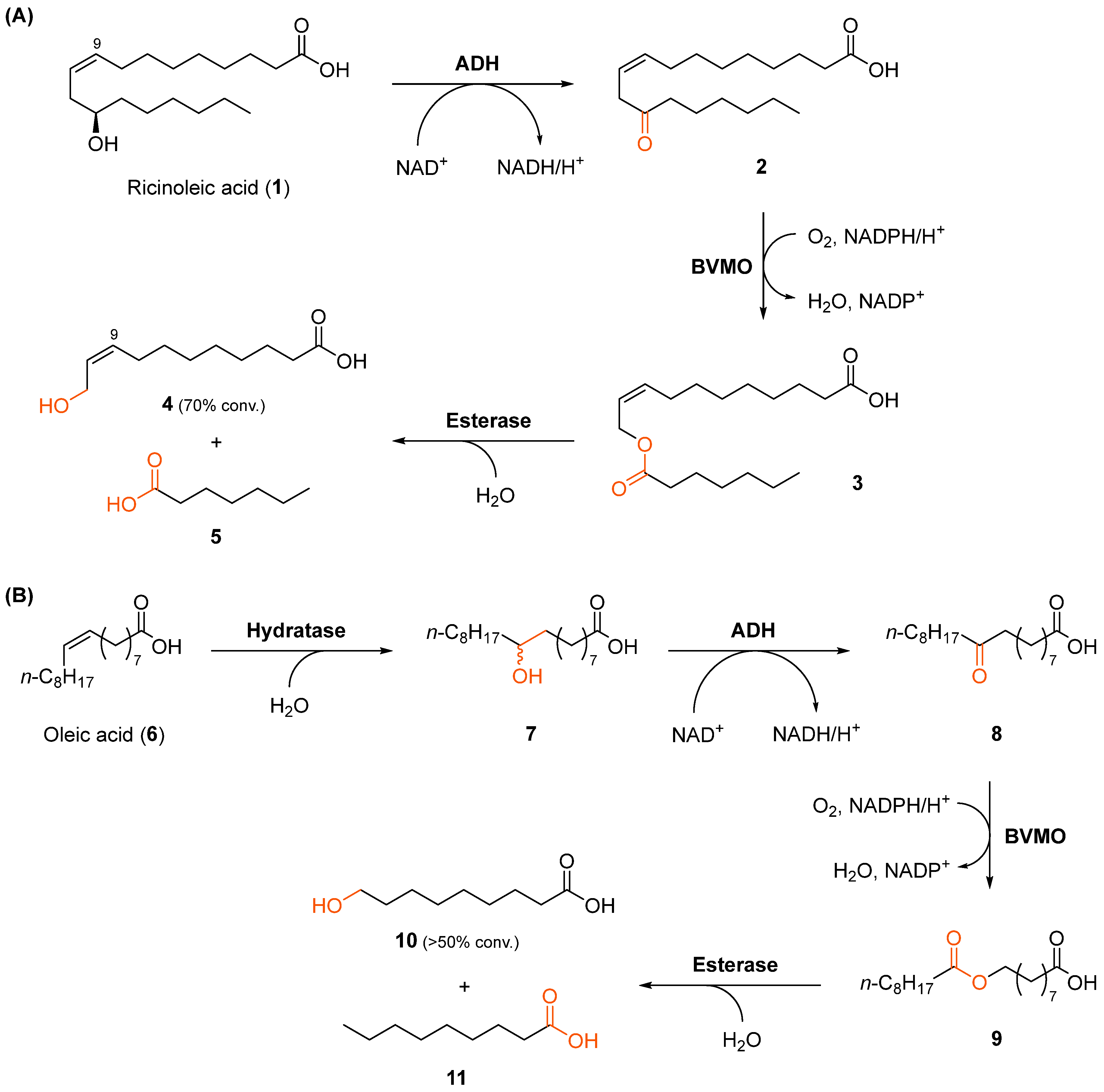 Catalysts 08 00205 sch002