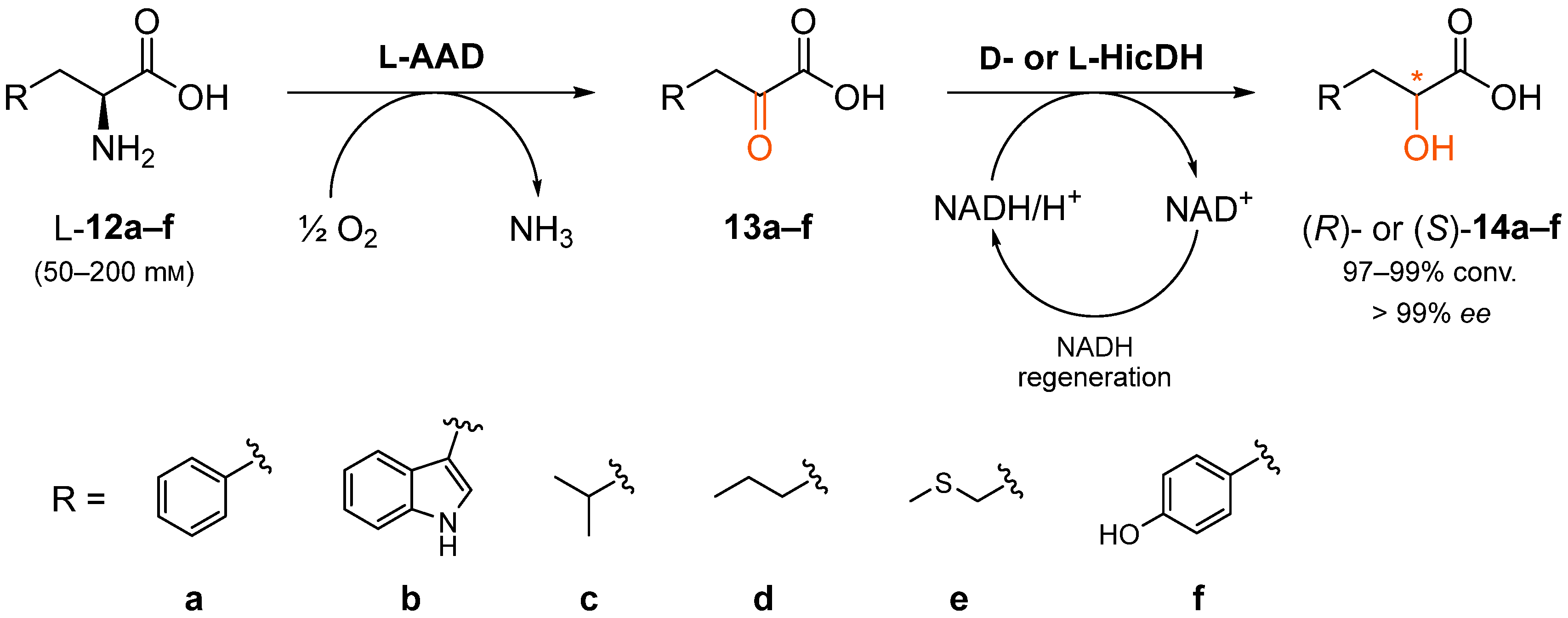 Catalysts 08 00205 sch003