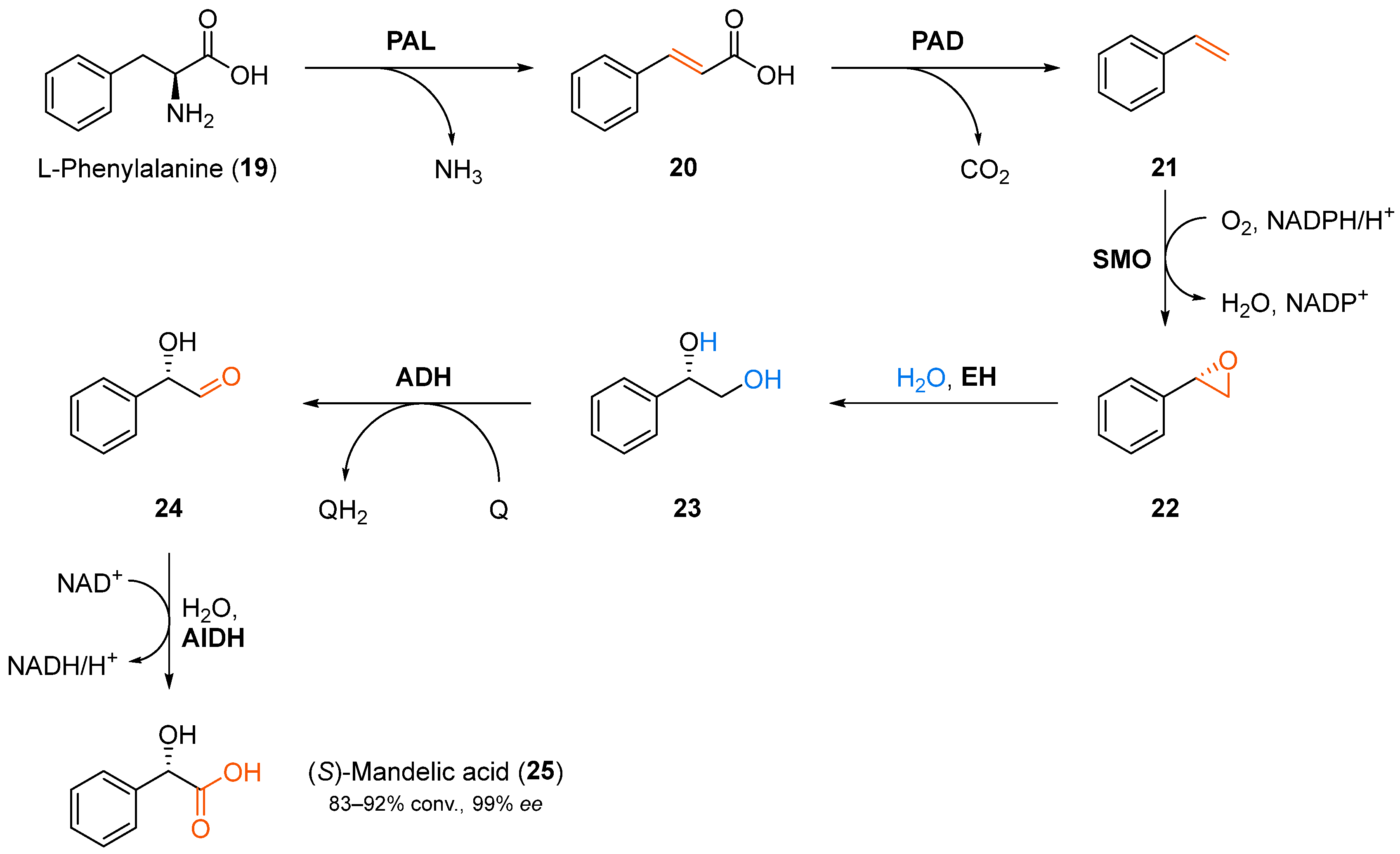 Catalysts 08 00205 sch006