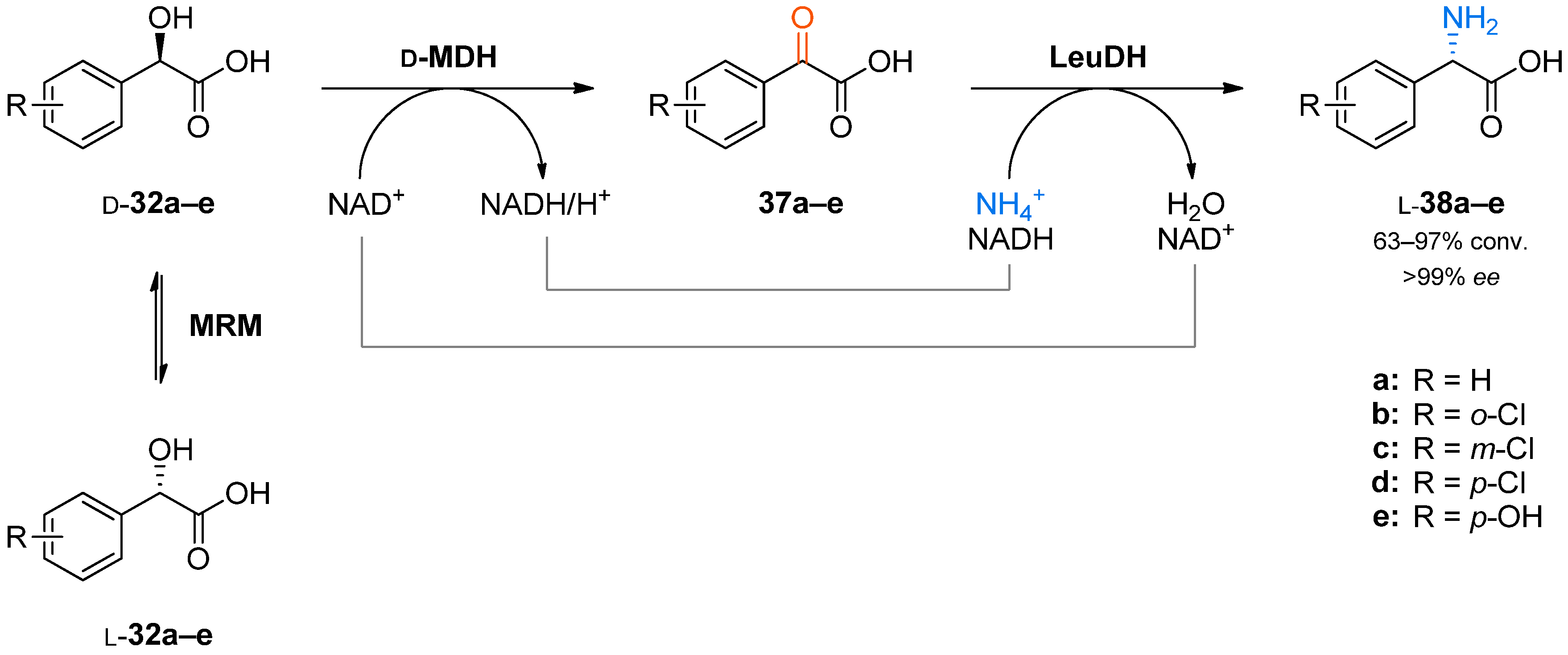 Catalysts 08 00205 sch010
