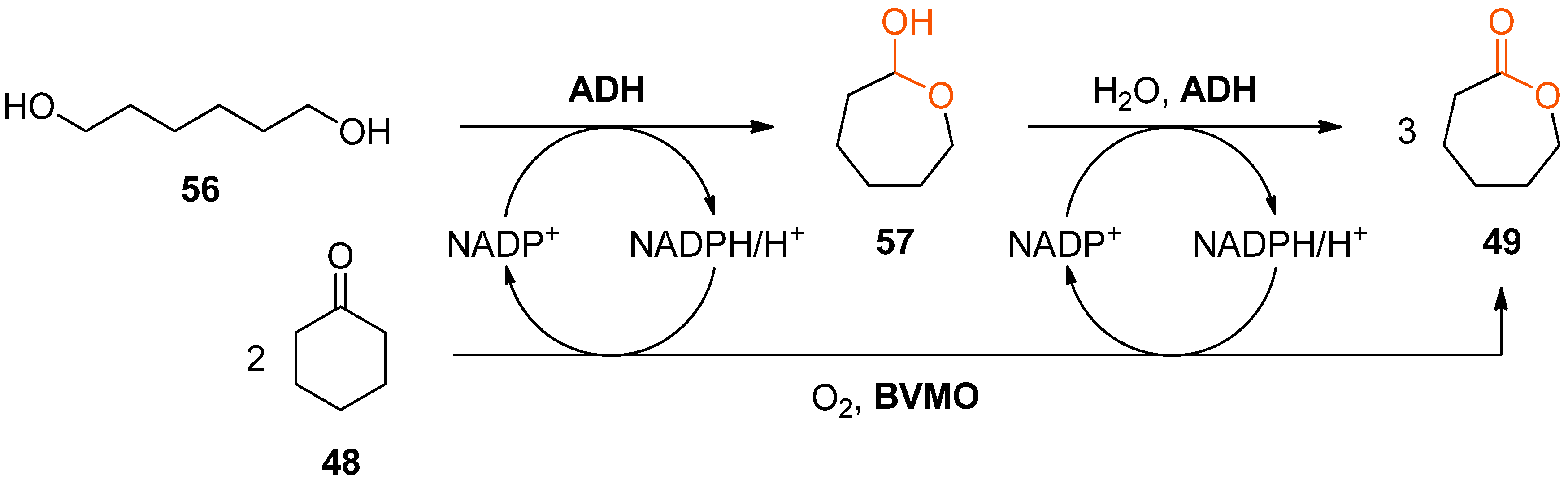 Catalysts 08 00205 sch017