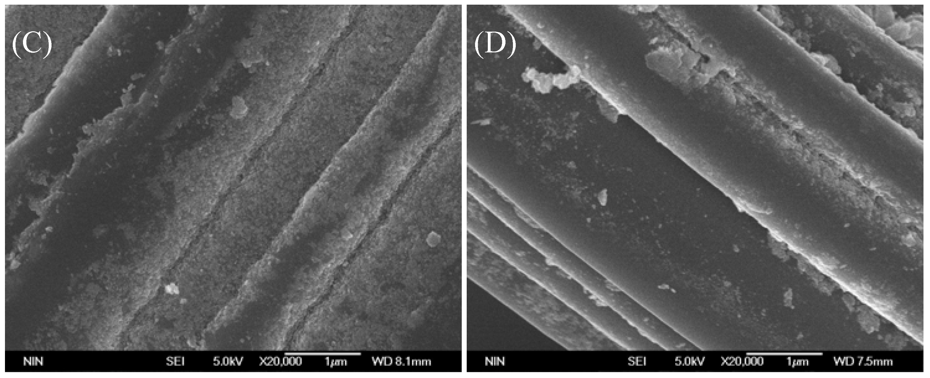 Catalysts 08 00207 g010b 550