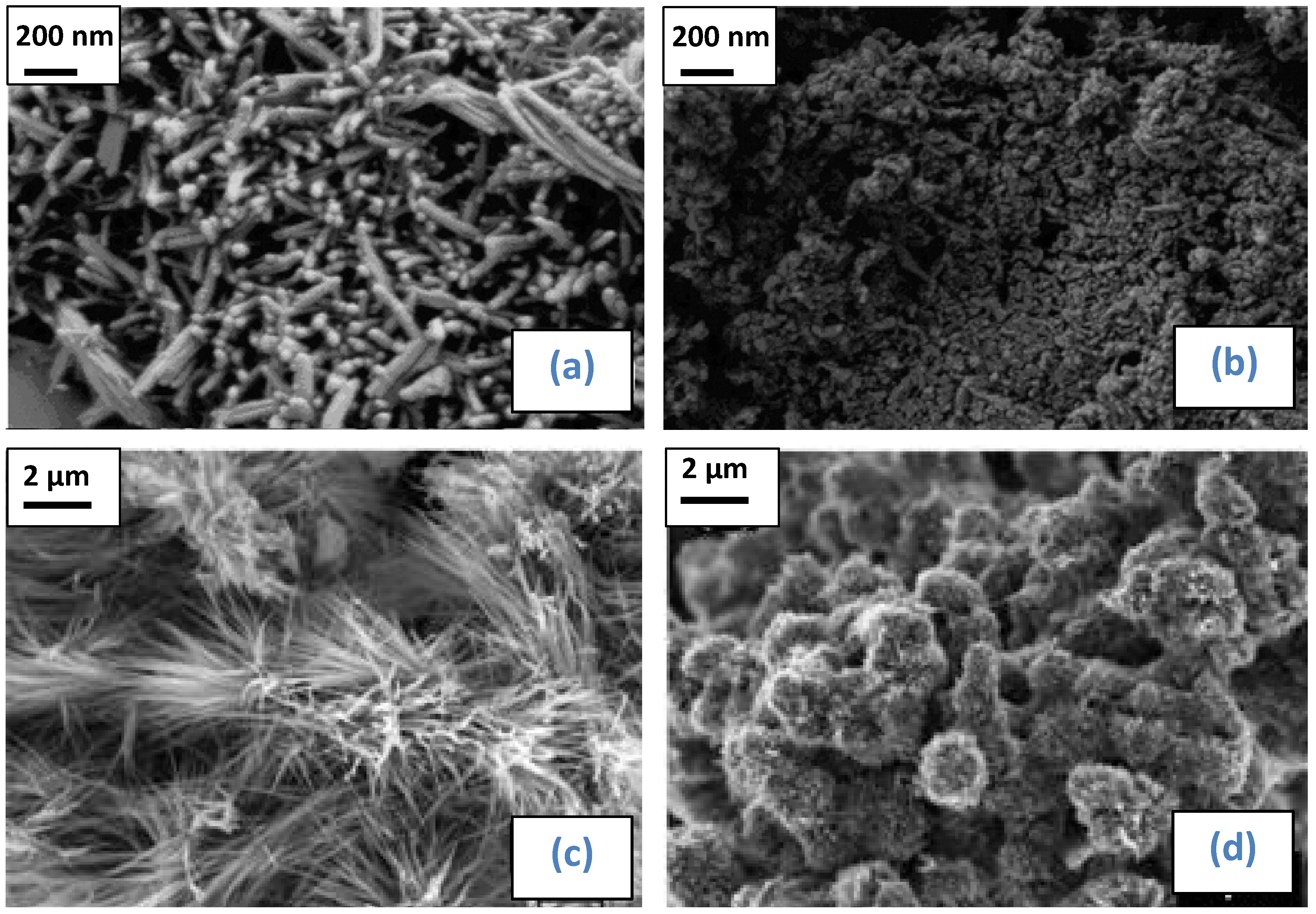 Catalysts 08 00212 g013