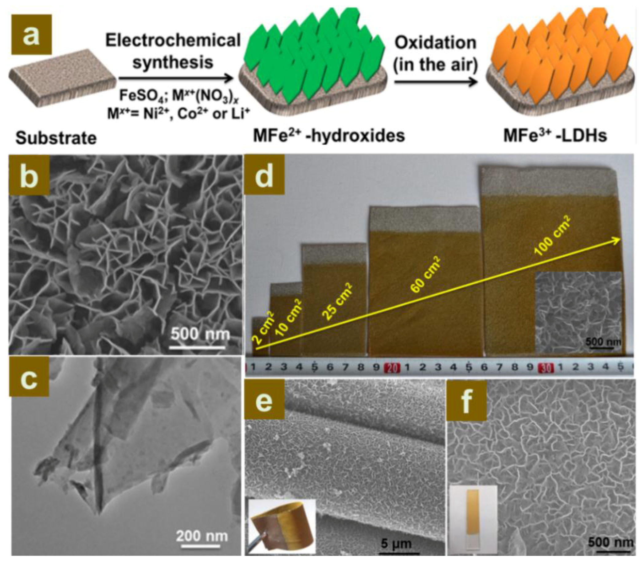 Catalysts 08 00214 g007