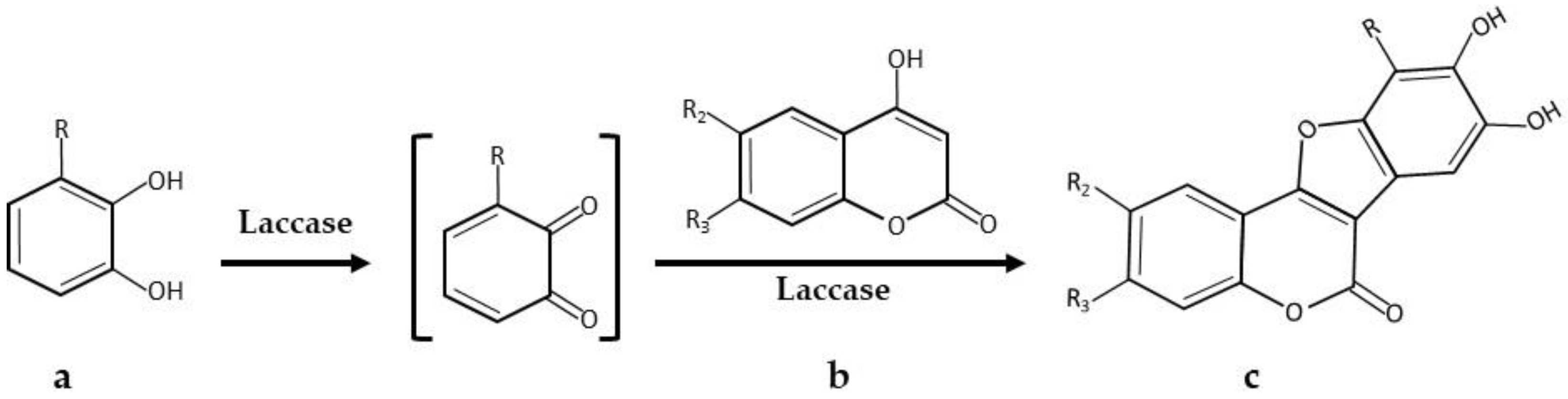 Catalysts 08 00223 g006