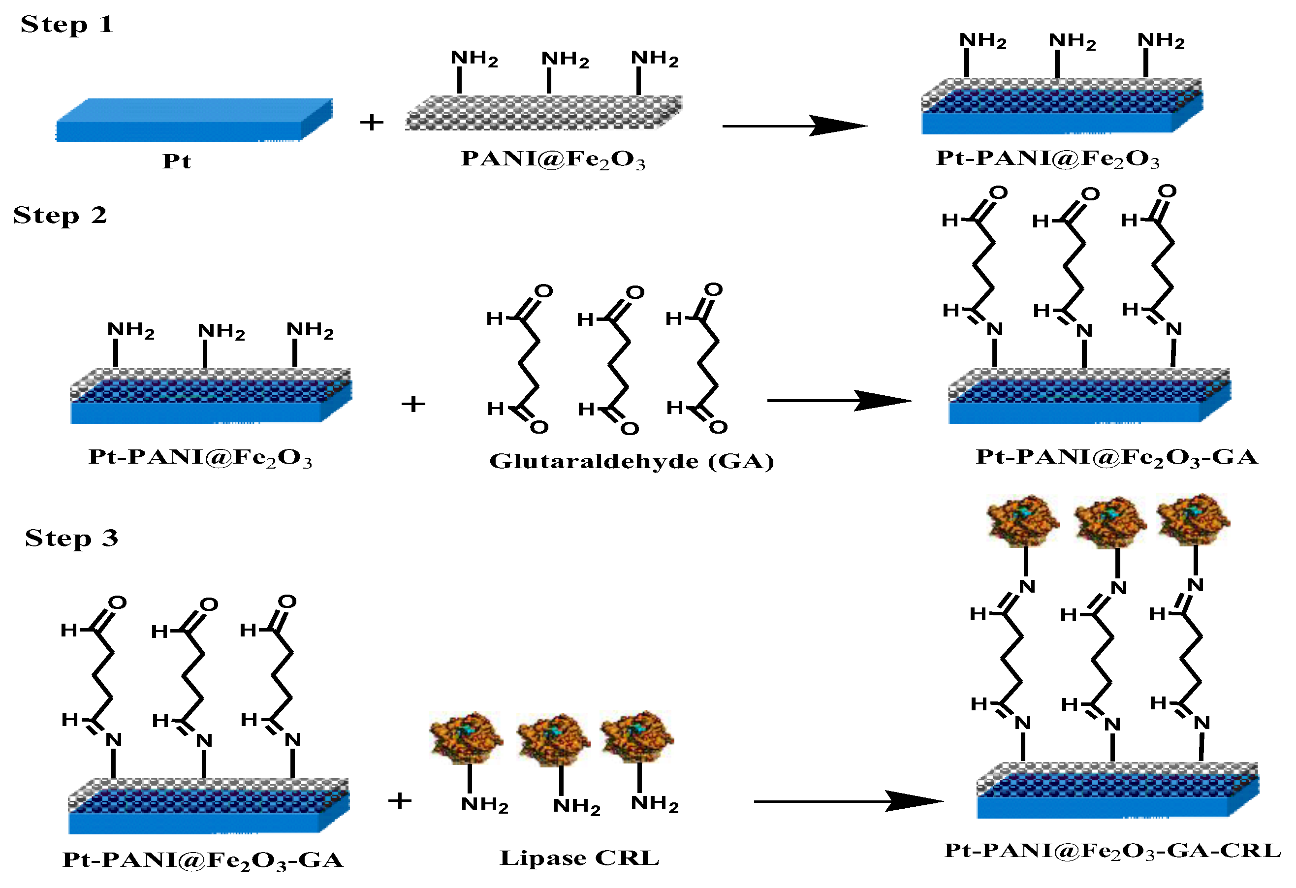 Catalysts 08 00233 sch005