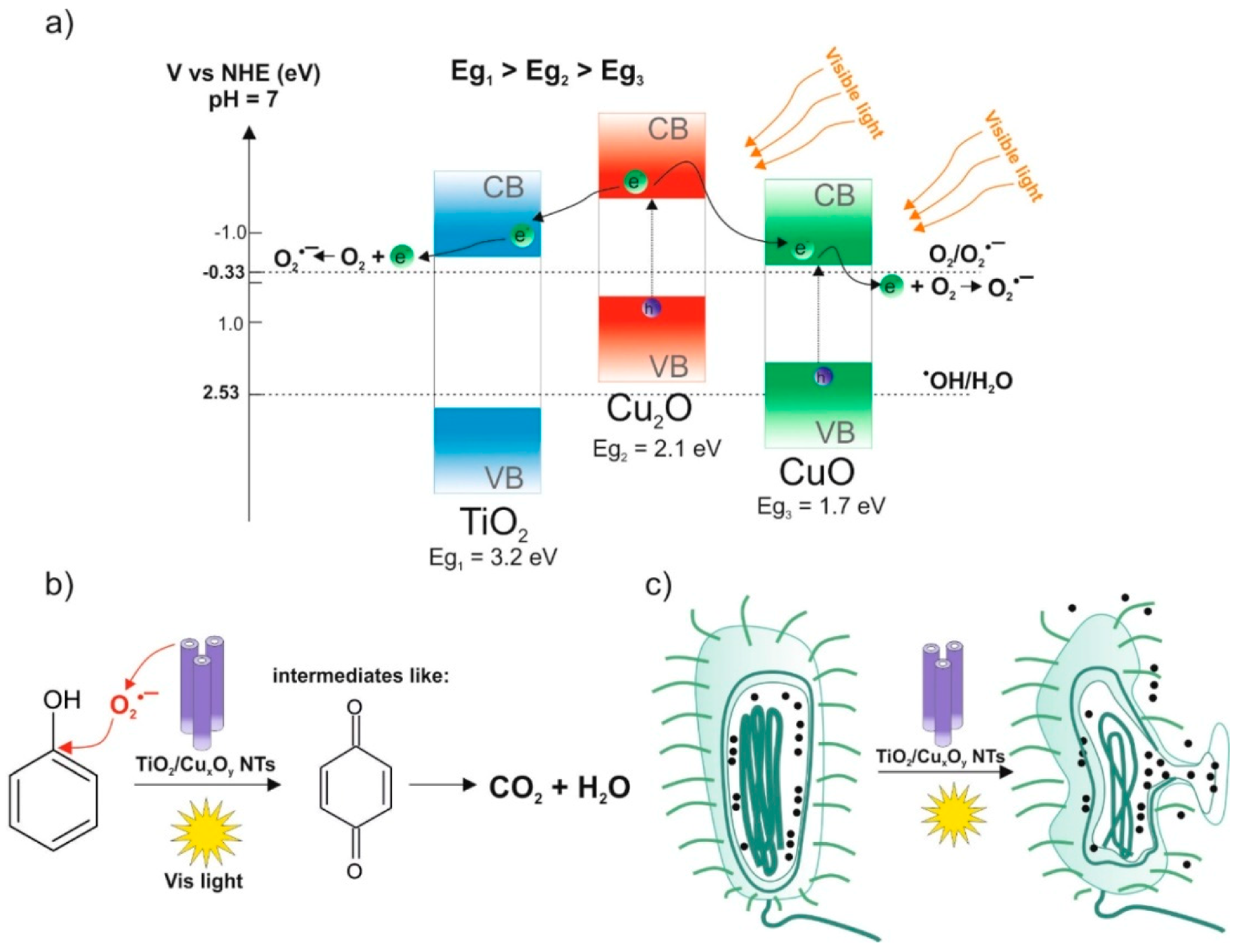 Catalysts 08 00237 g006