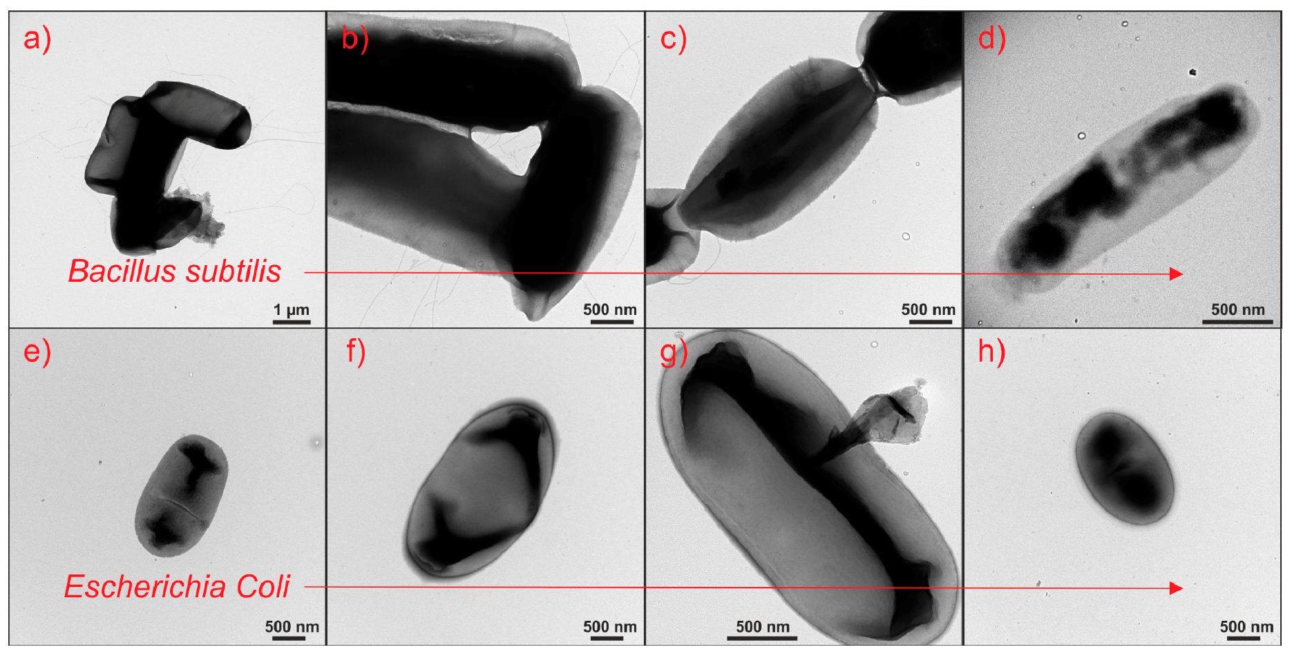 Catalysts 08 00237 g007