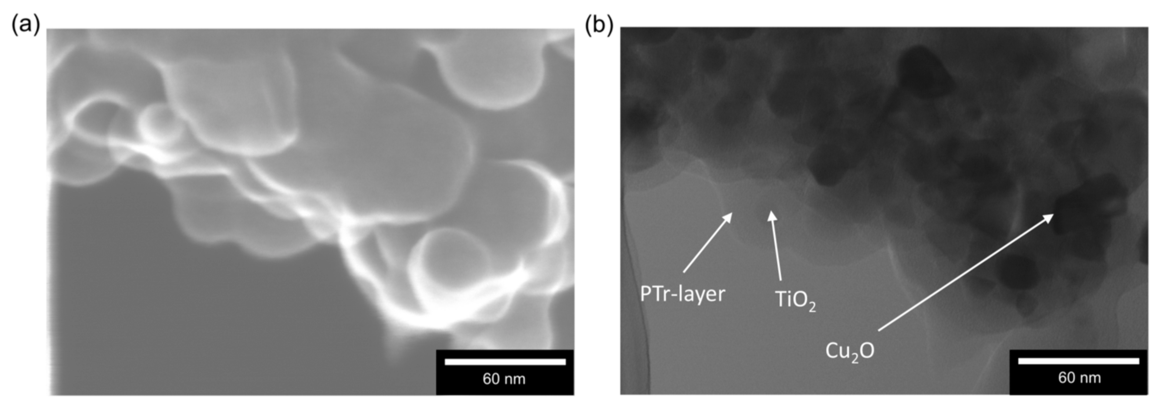 Catalysts 08 00240 g005