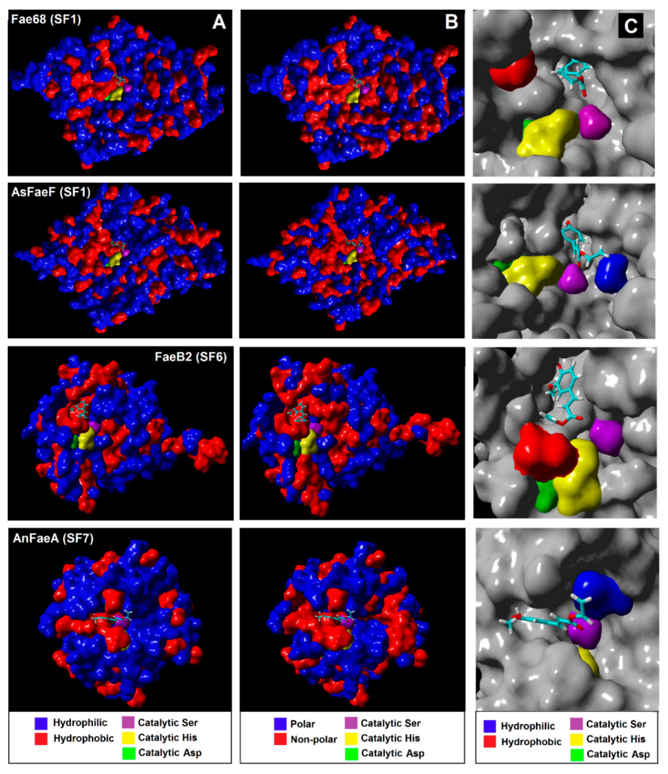 Catalysts 08 00242 g006 Catalysts 08 00242 g006