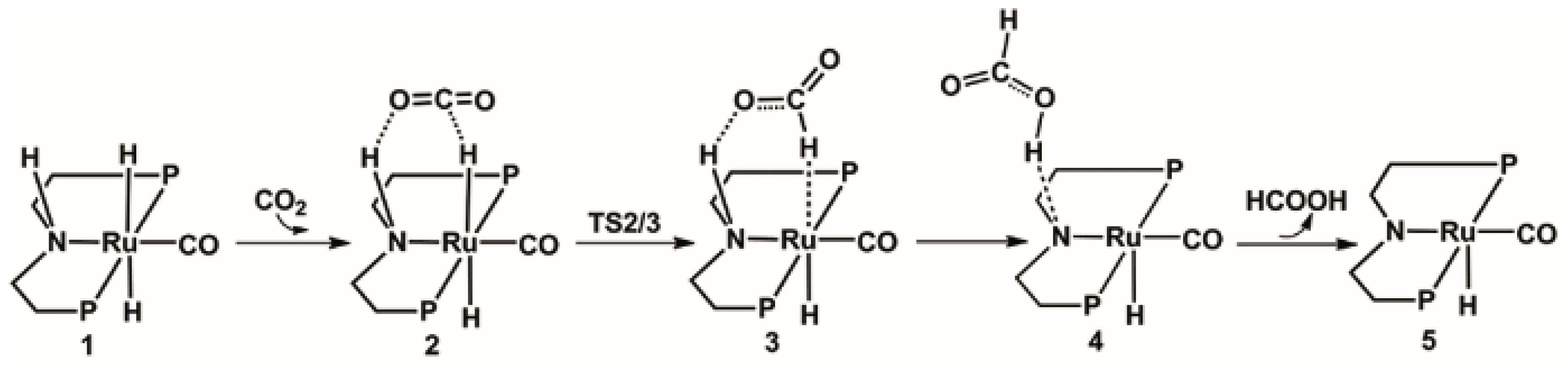 Catalysts 08 00244 sch001