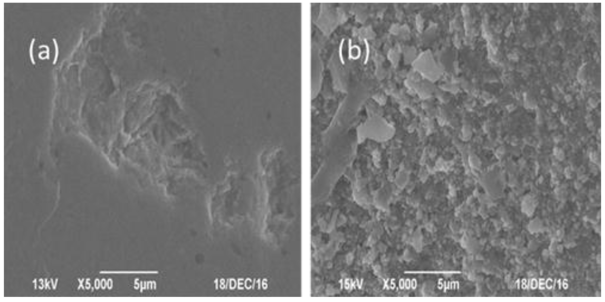 Catalysts 08 00256 g006