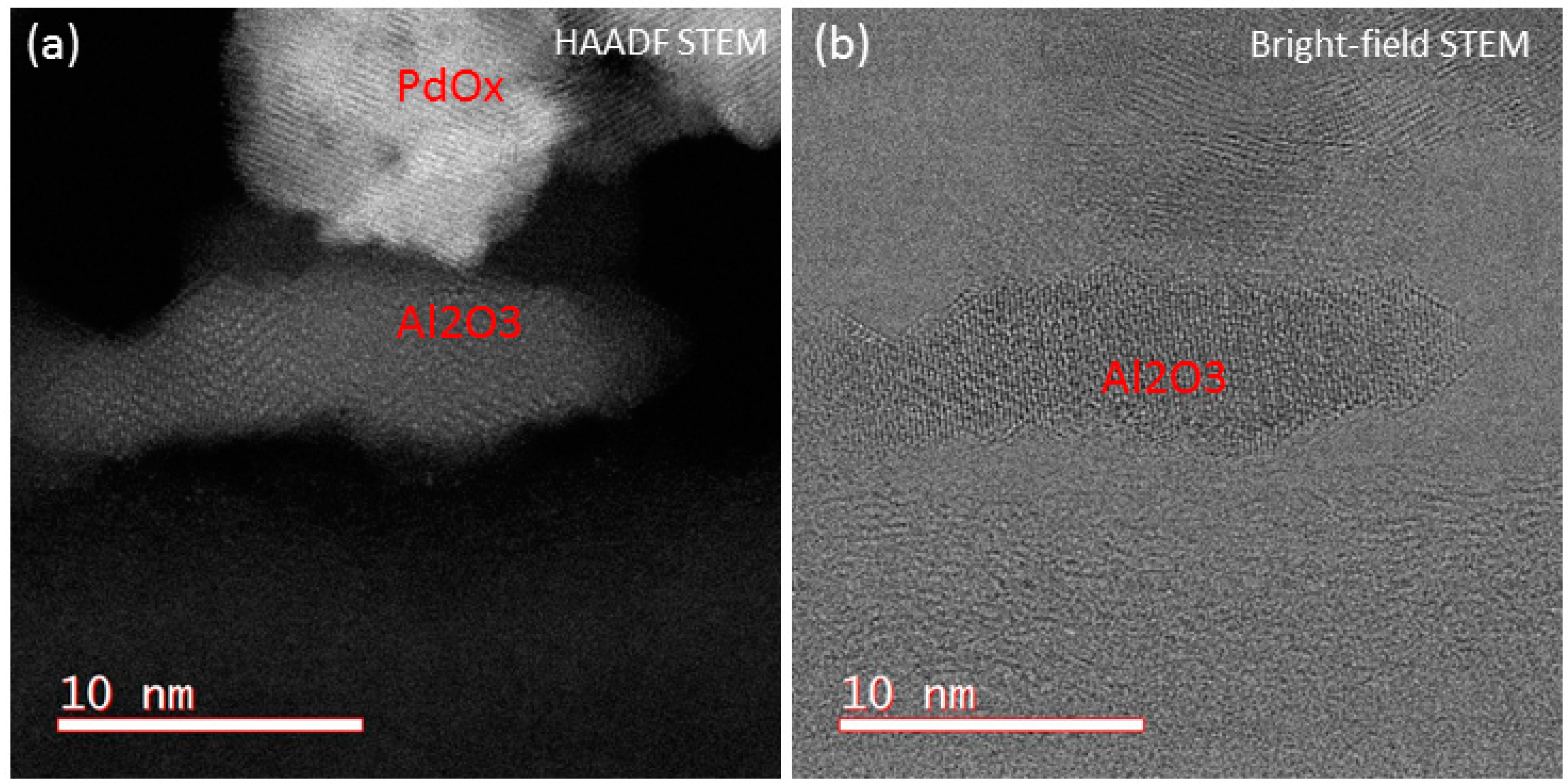 Catalysts 08 00266 g005