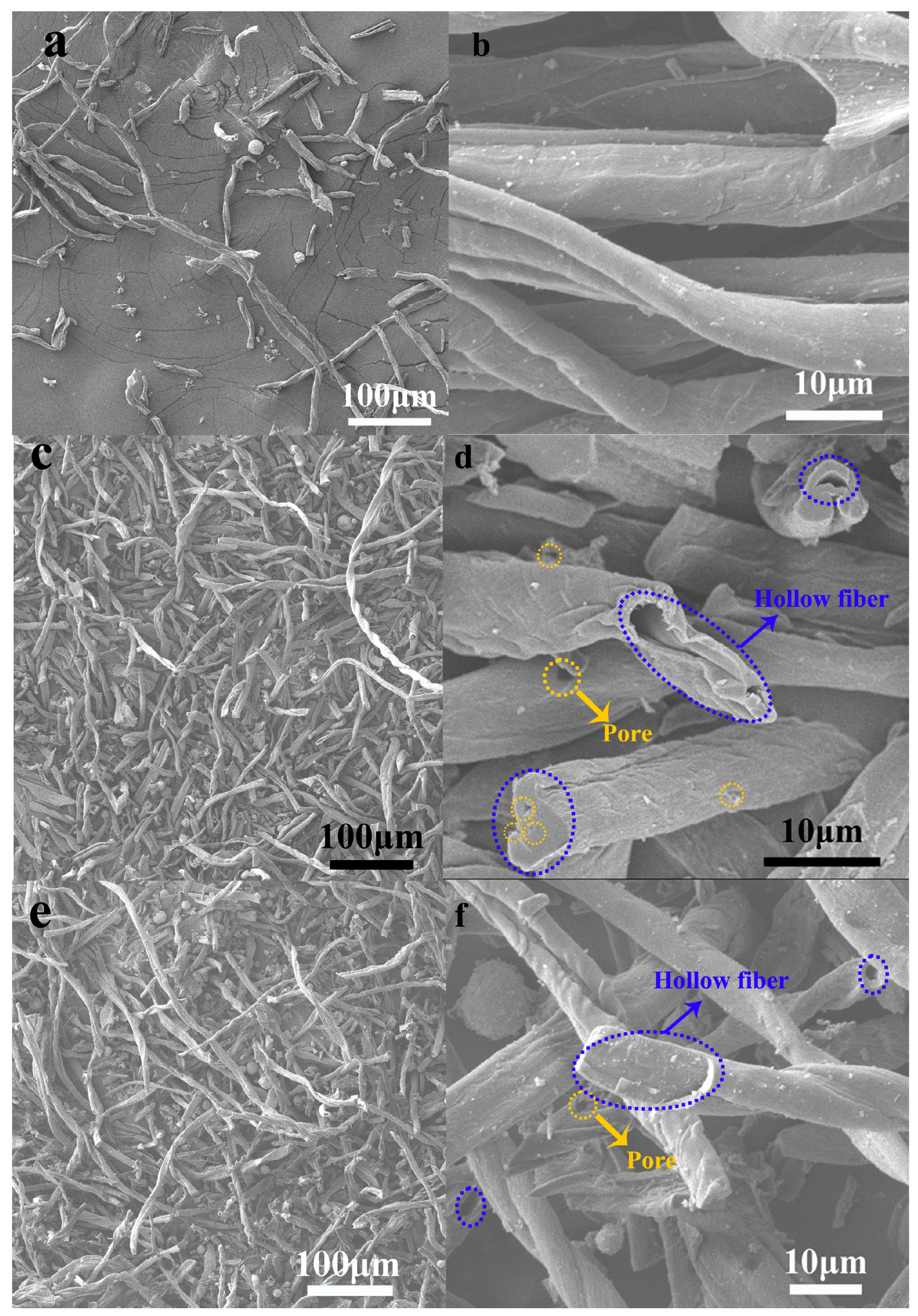 Catalysts 08 00267 g002 550