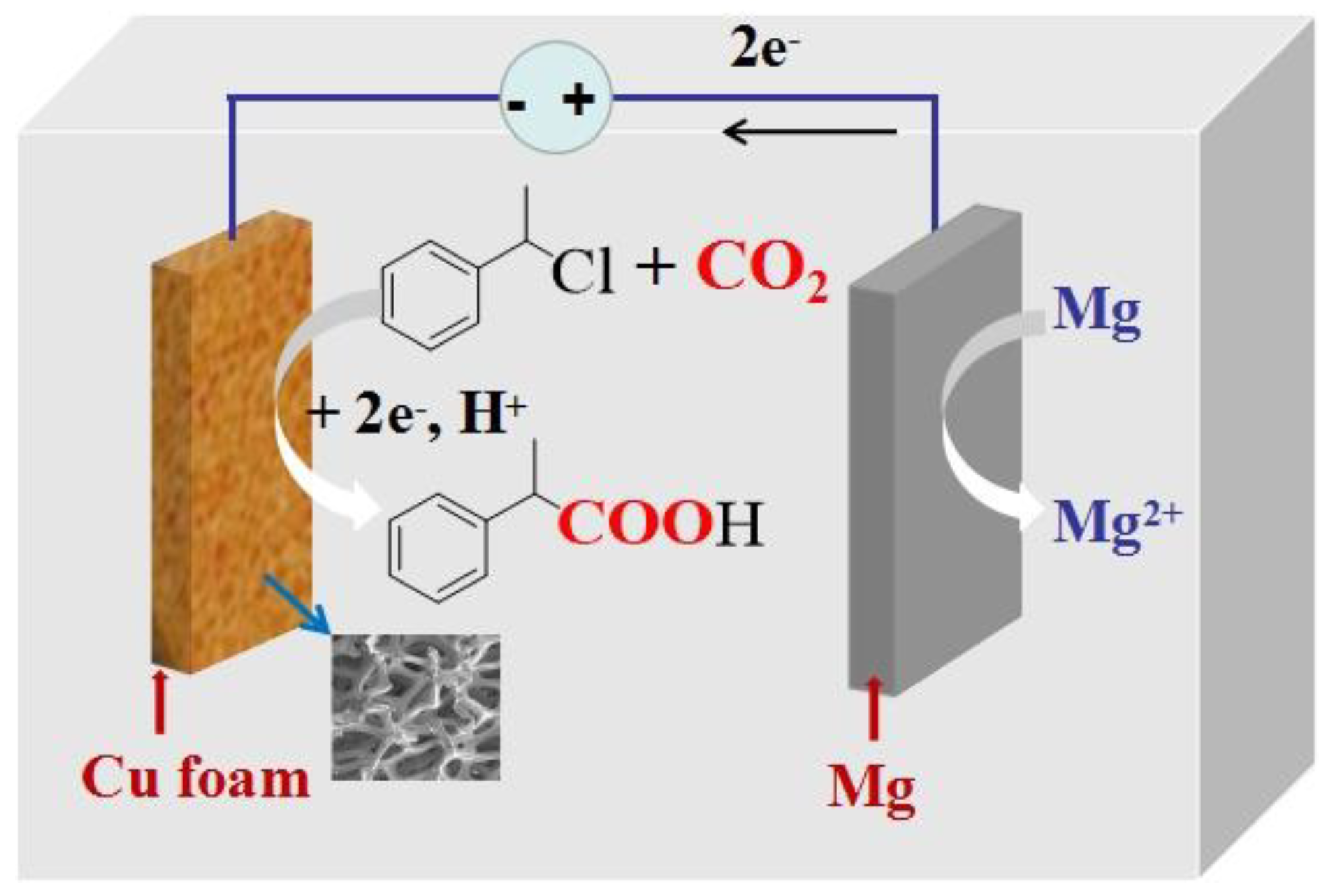Catalysts 08 00273 g001