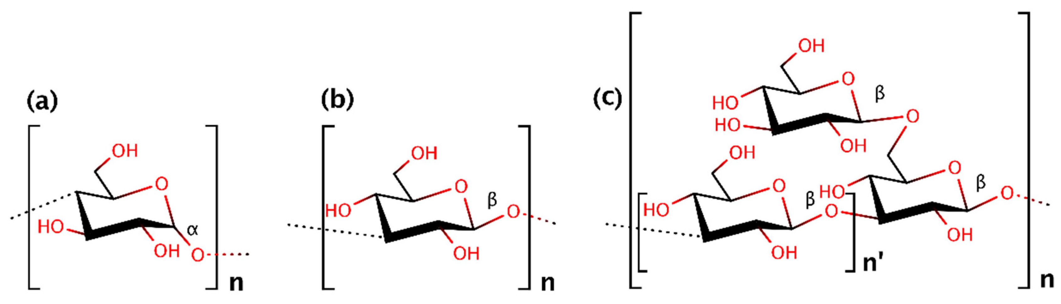 Biocatalytic Synthesis of Fungal β-Glucans