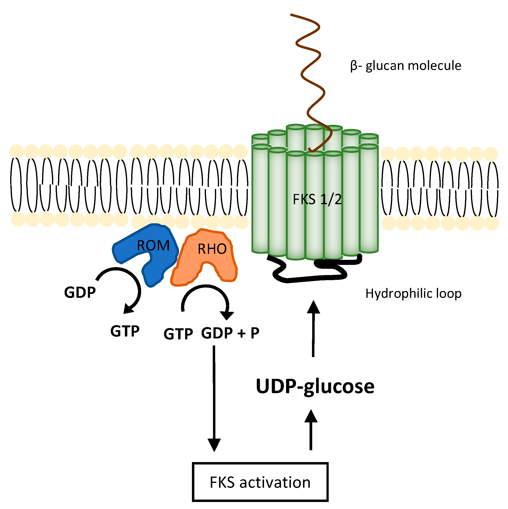 Catalysts 08 00274 g003 Catalysts 08 00274 g003