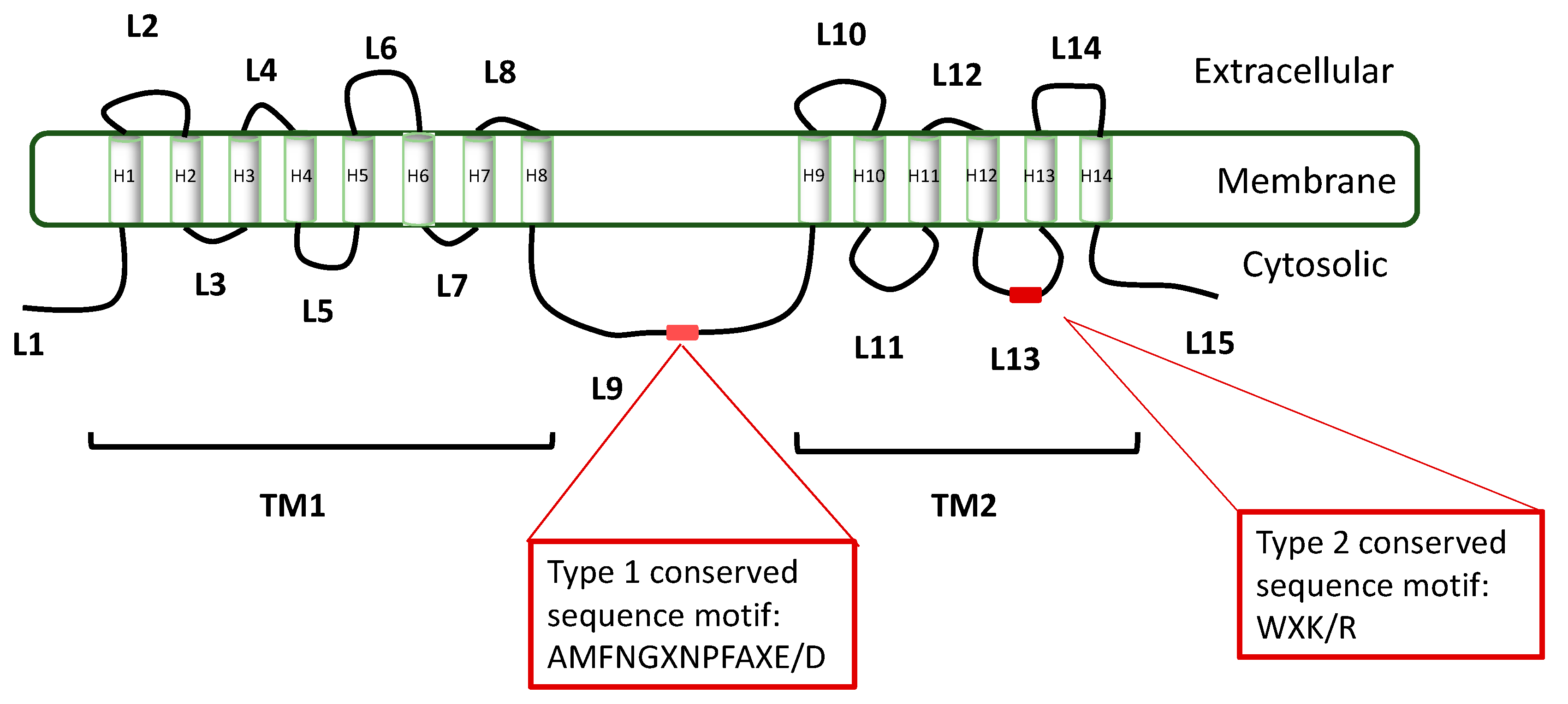 Catalysts 08 00274 g004 Catalysts 08 00274 g004