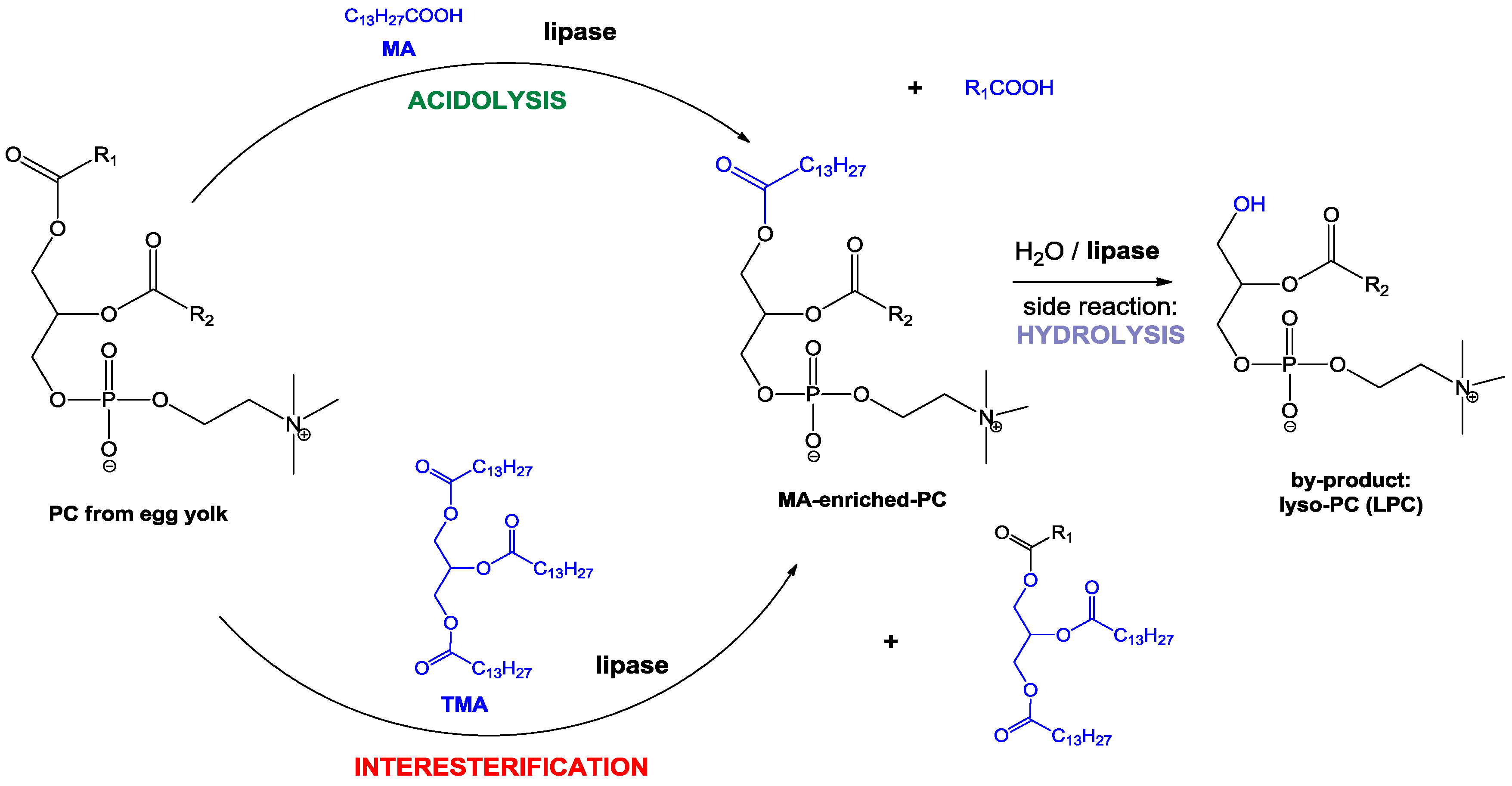 Catalysts 08 00281 sch001