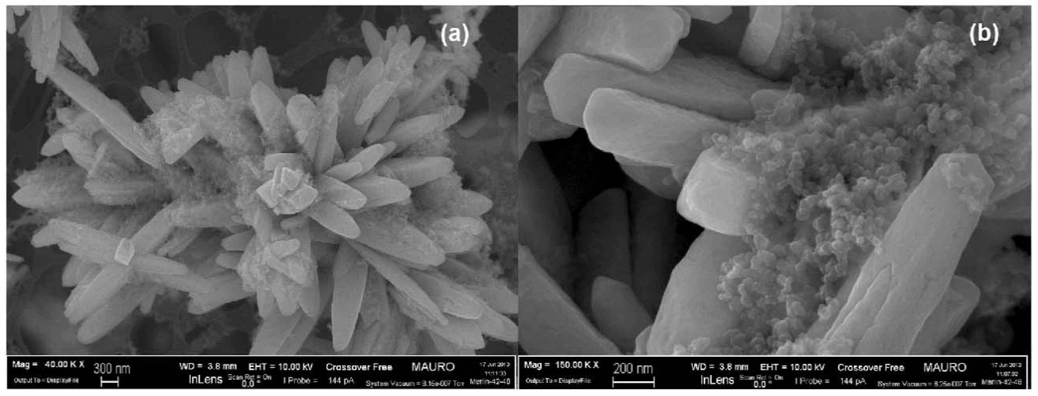 Catalysts 08 00285 g004 Catalysts 08 00285 g004