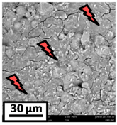 Catalysts 08 00291 i009