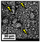 Catalysts 08 00291 i013