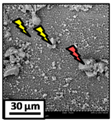 Catalysts 08 00291 i017