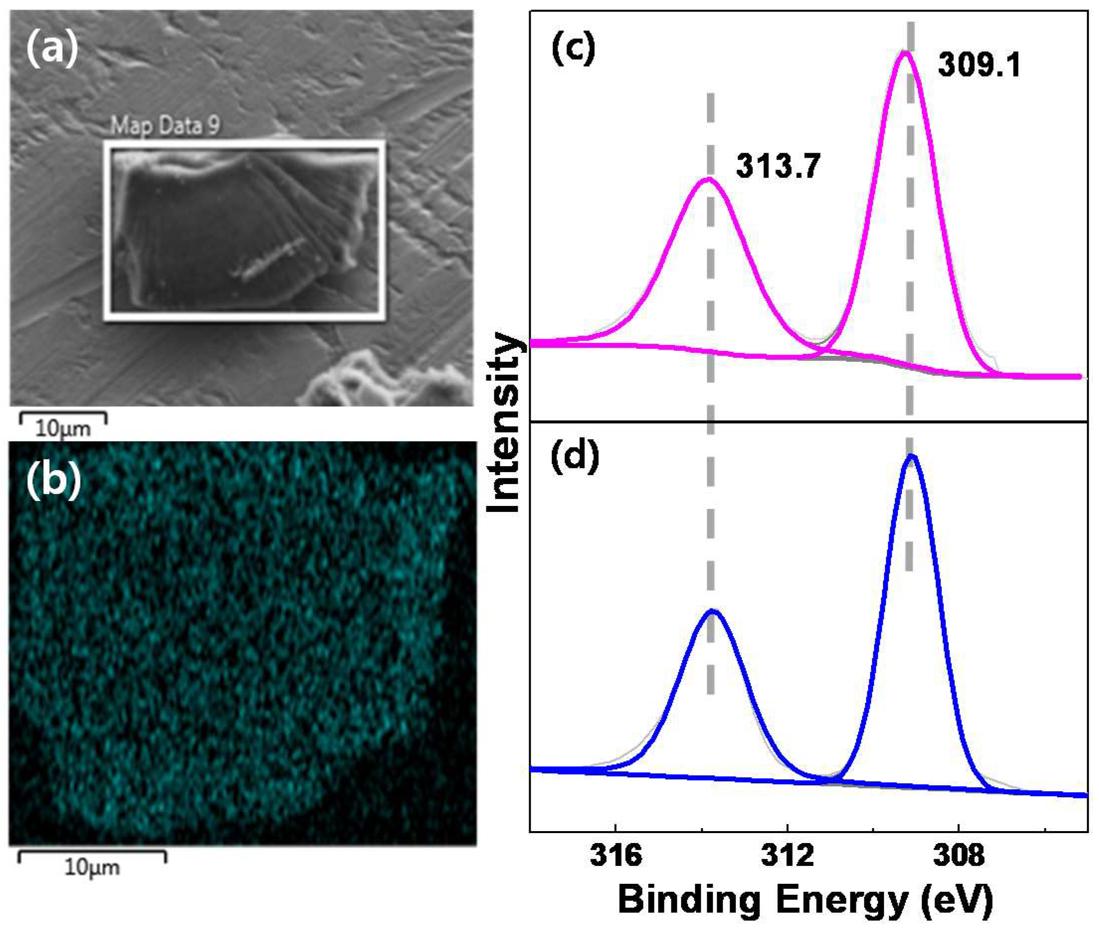 Catalysts 08 00295 g001 550