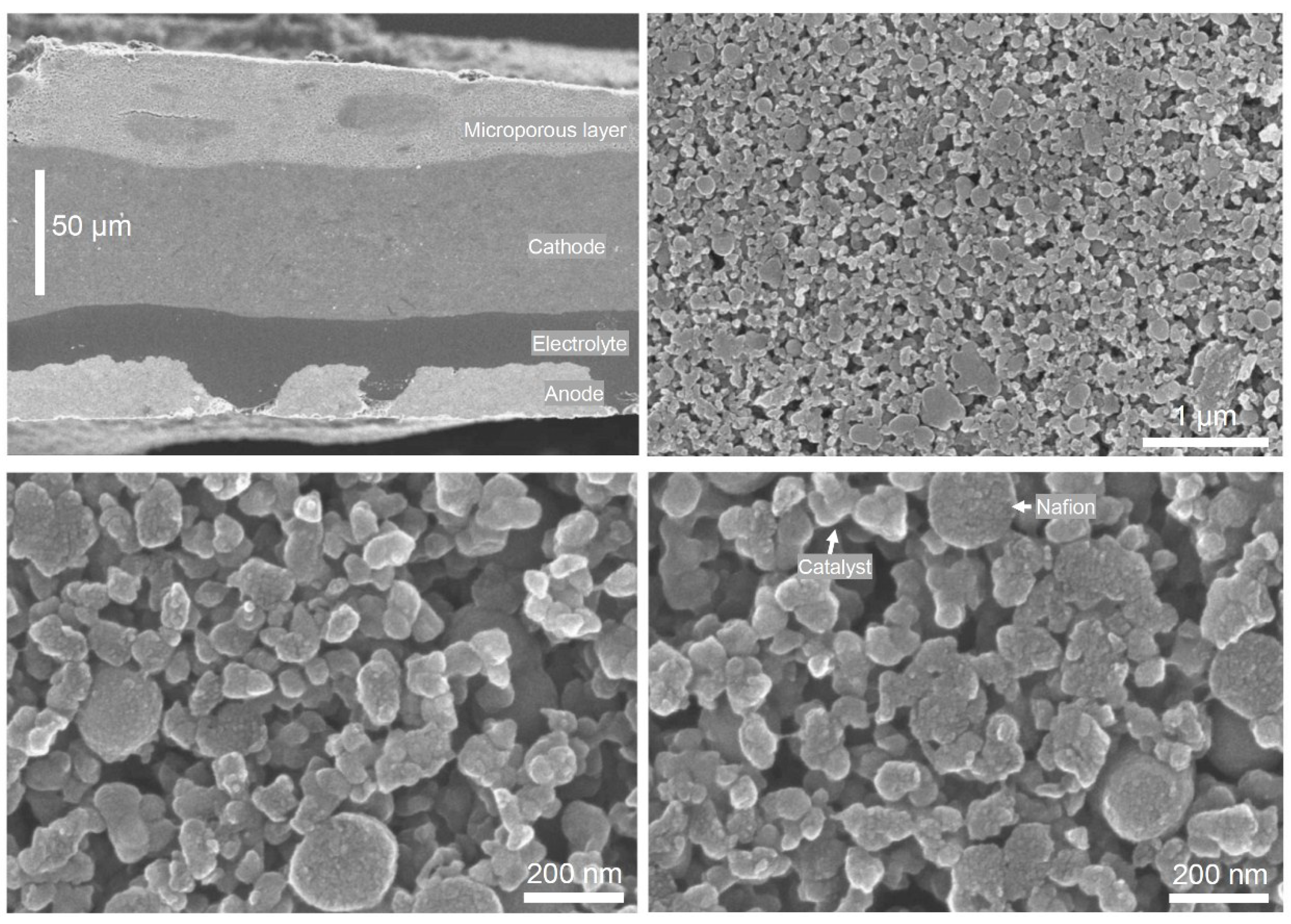 Catalysts 08 00324 g009