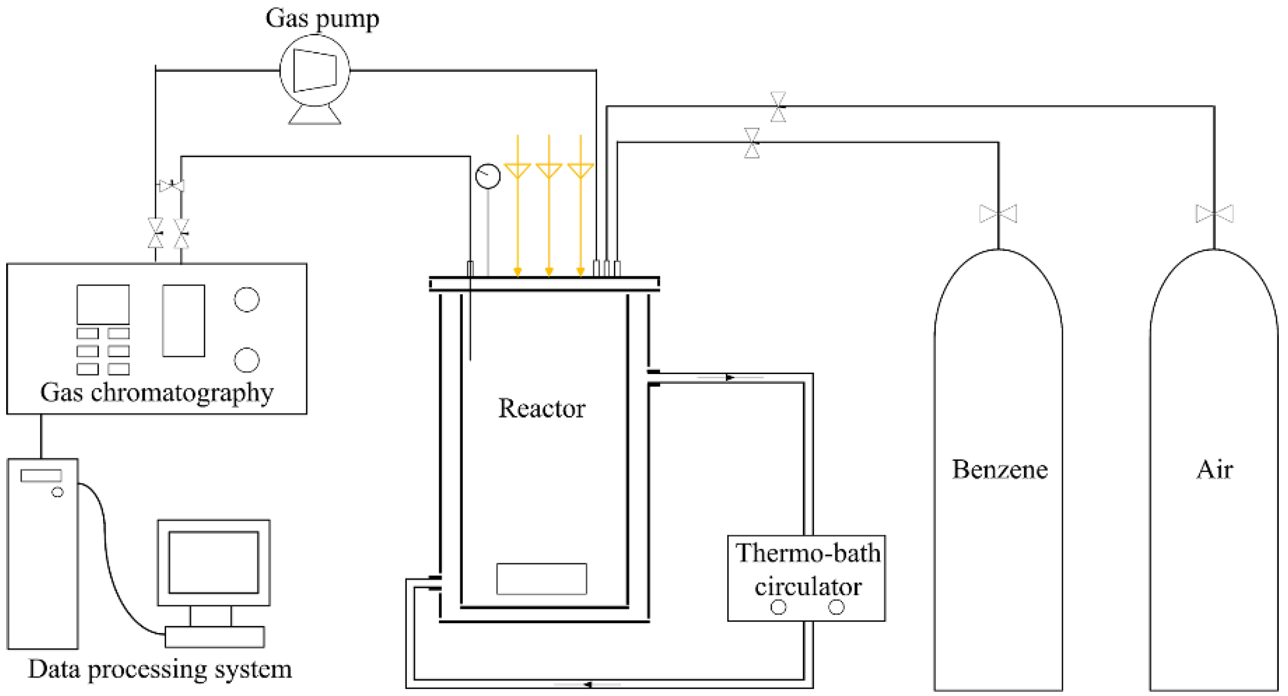 Catalysts 08 00326 g007