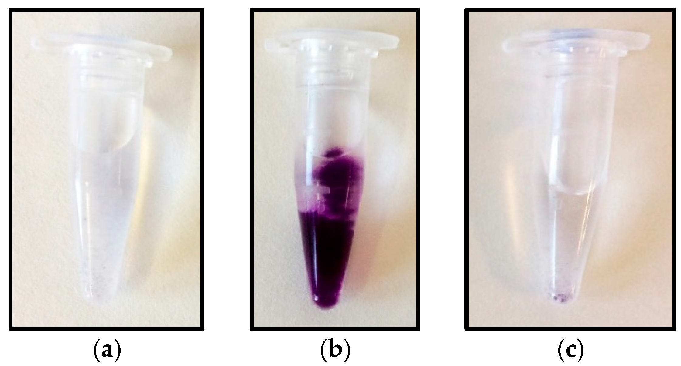 Catalysts 08 00333 g002a