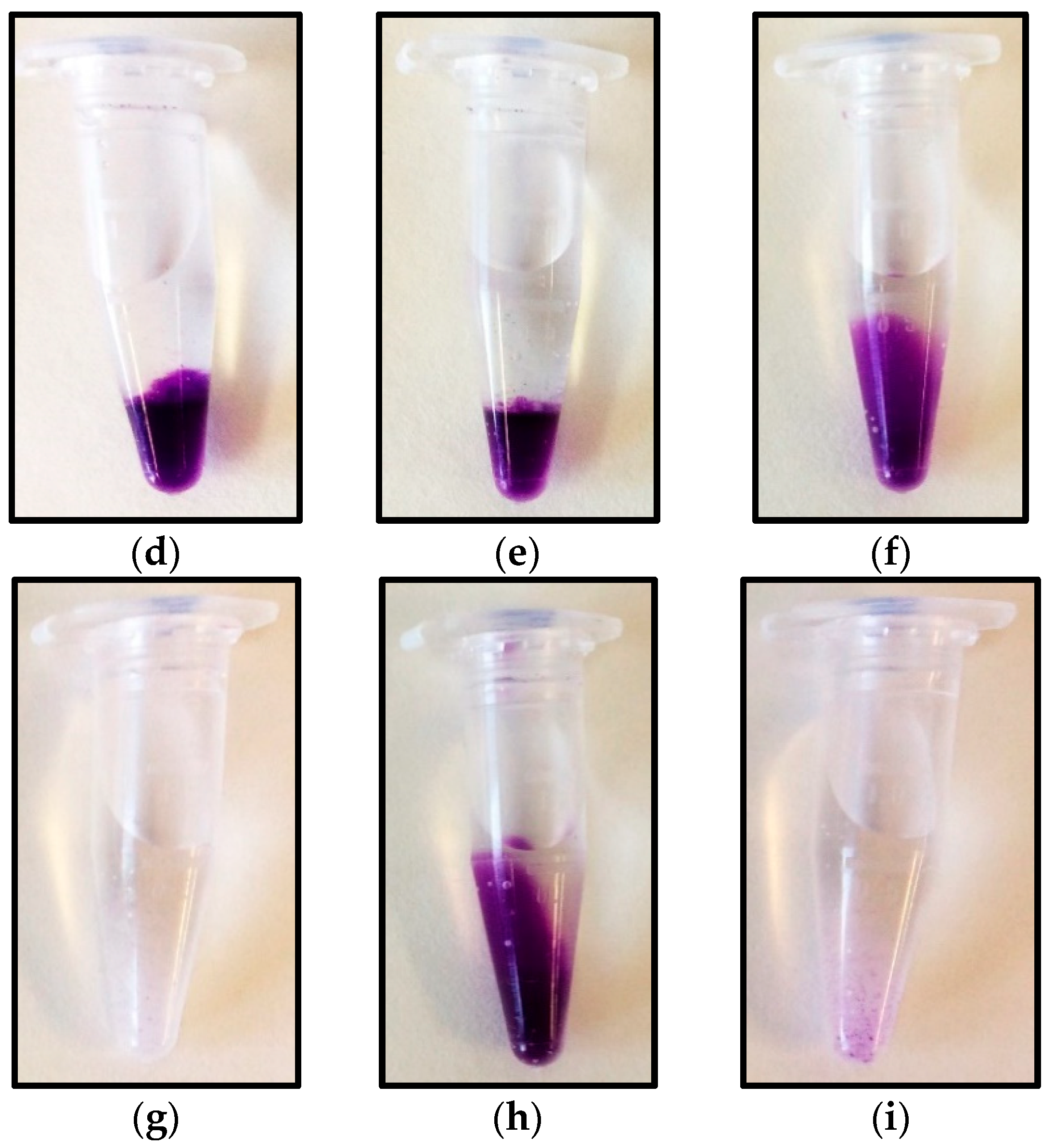 Catalysts 08 00333 g002b
