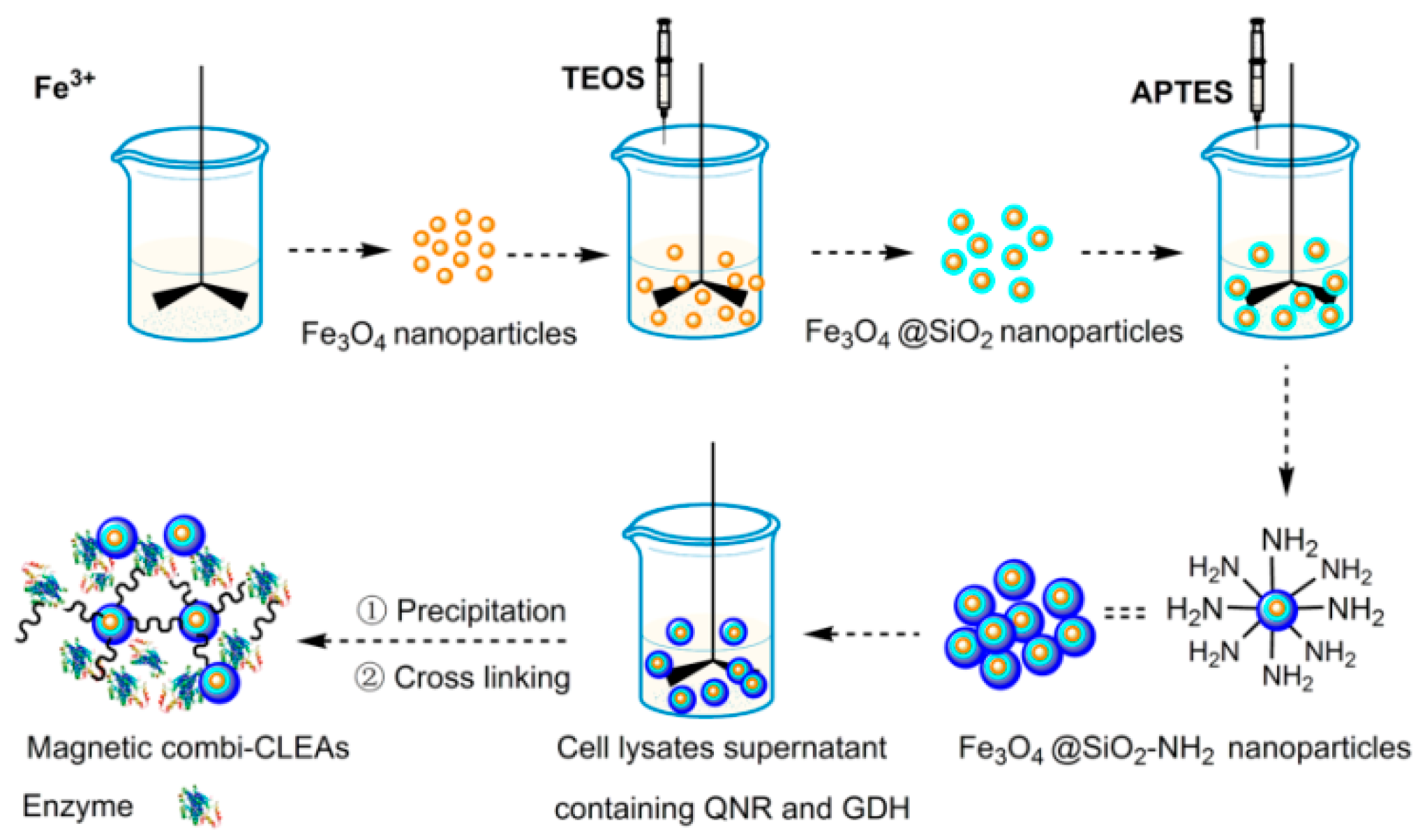 Catalysts 08 00334 sch001