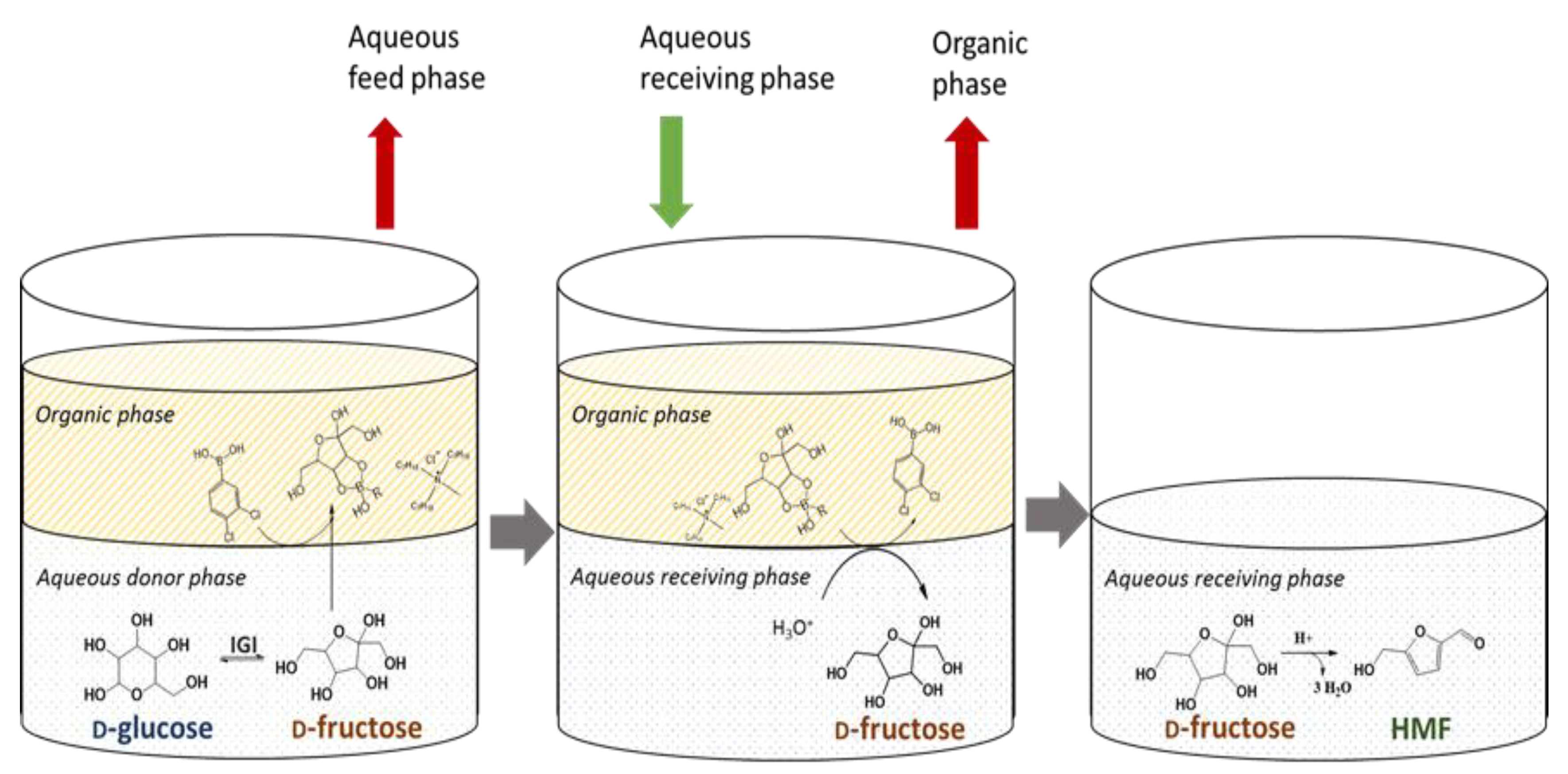 Catalysts 08 00335 g015