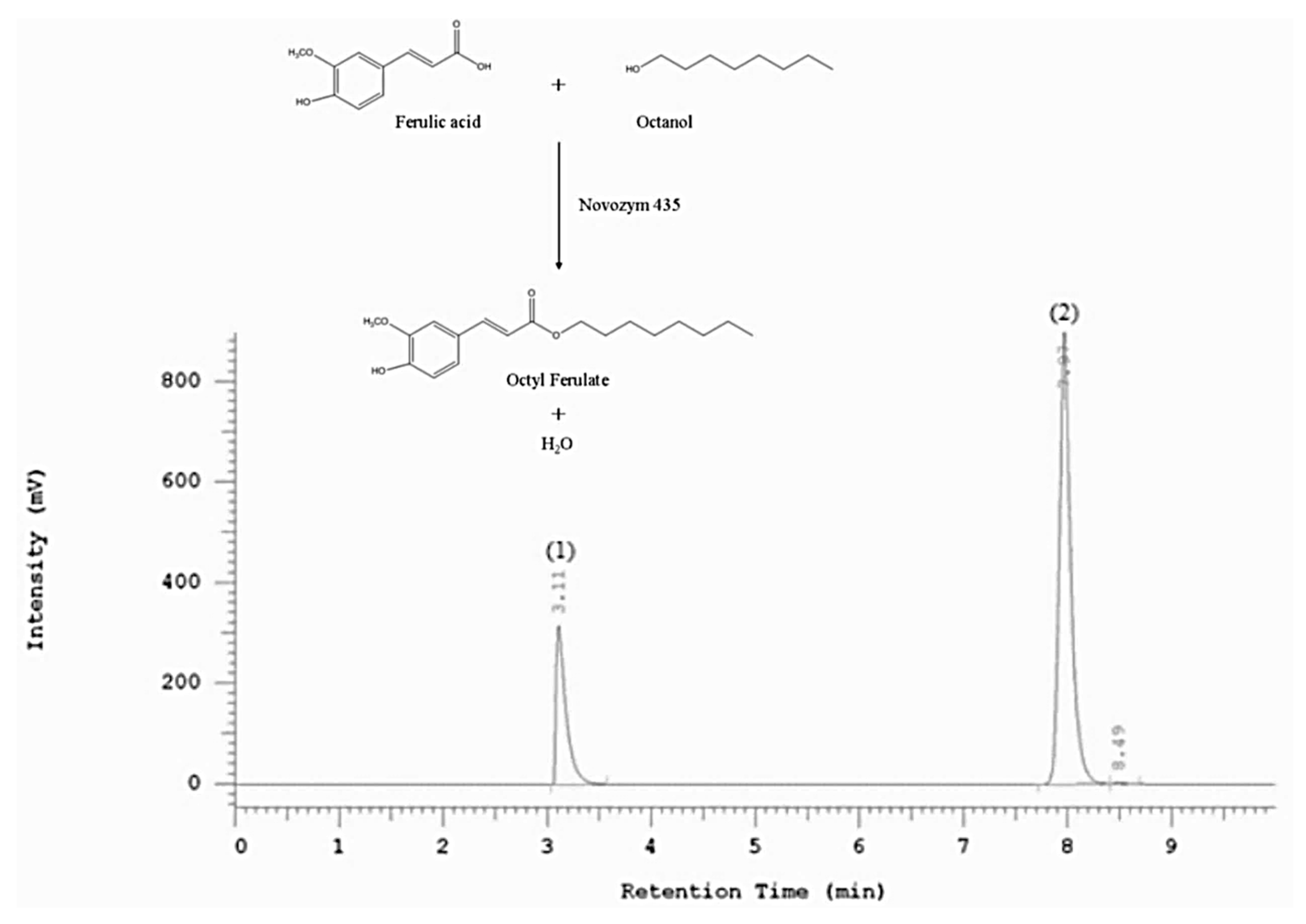 Catalysts 08 00338 g001