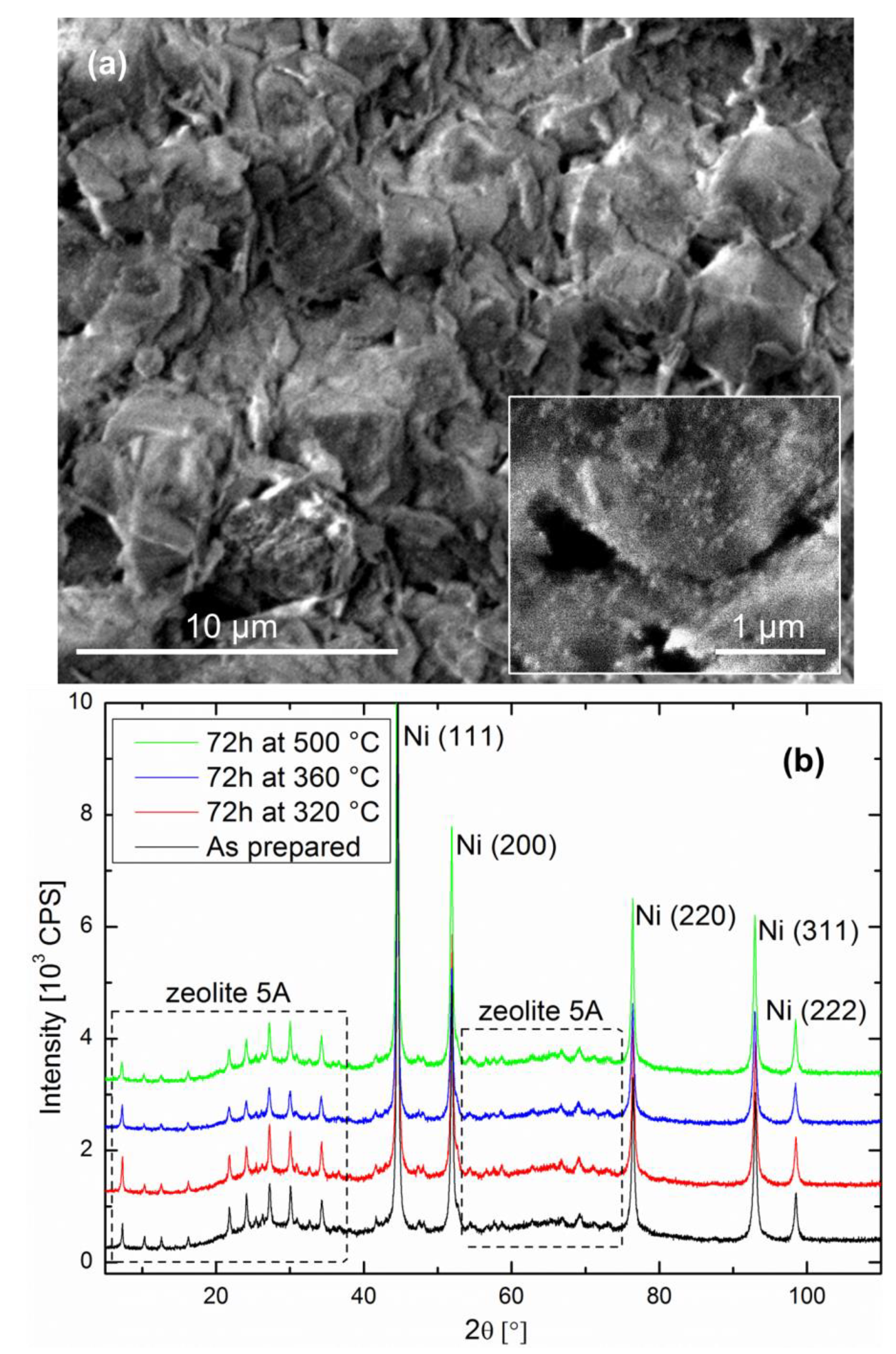 Catalysts 08 00341 g001