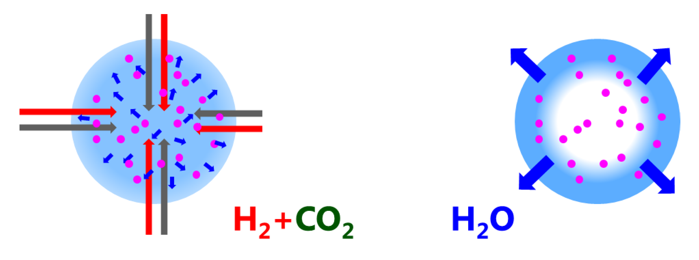 Catalysts 08 00341 g008