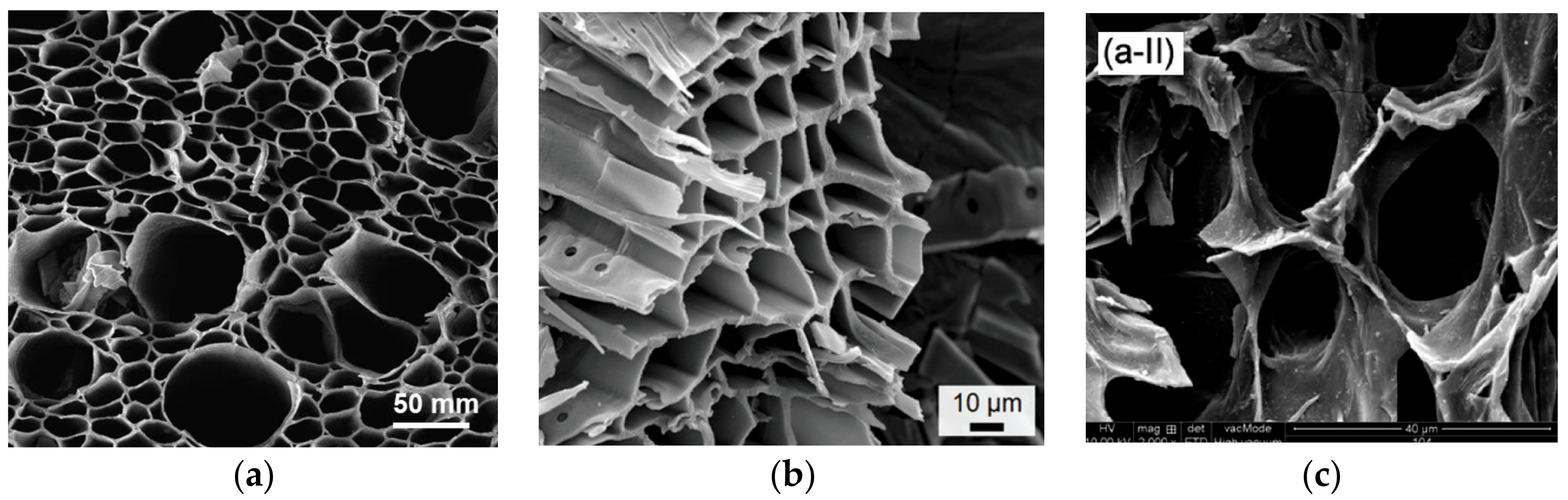 Catalysts 08 00346 g003
