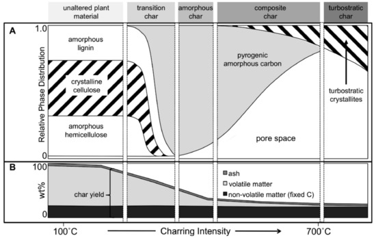 Preparation and Application of Biochar-Based Catalysts for Biofuel