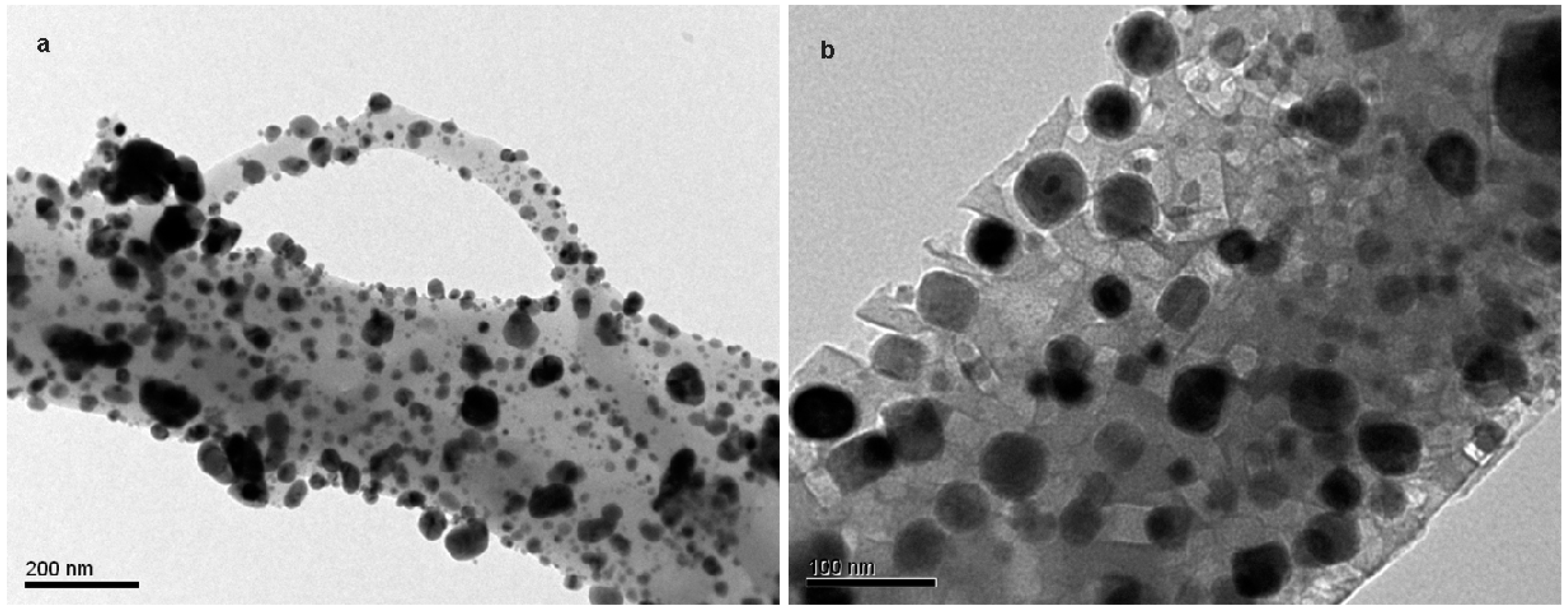 Catalysts 08 00347 g008