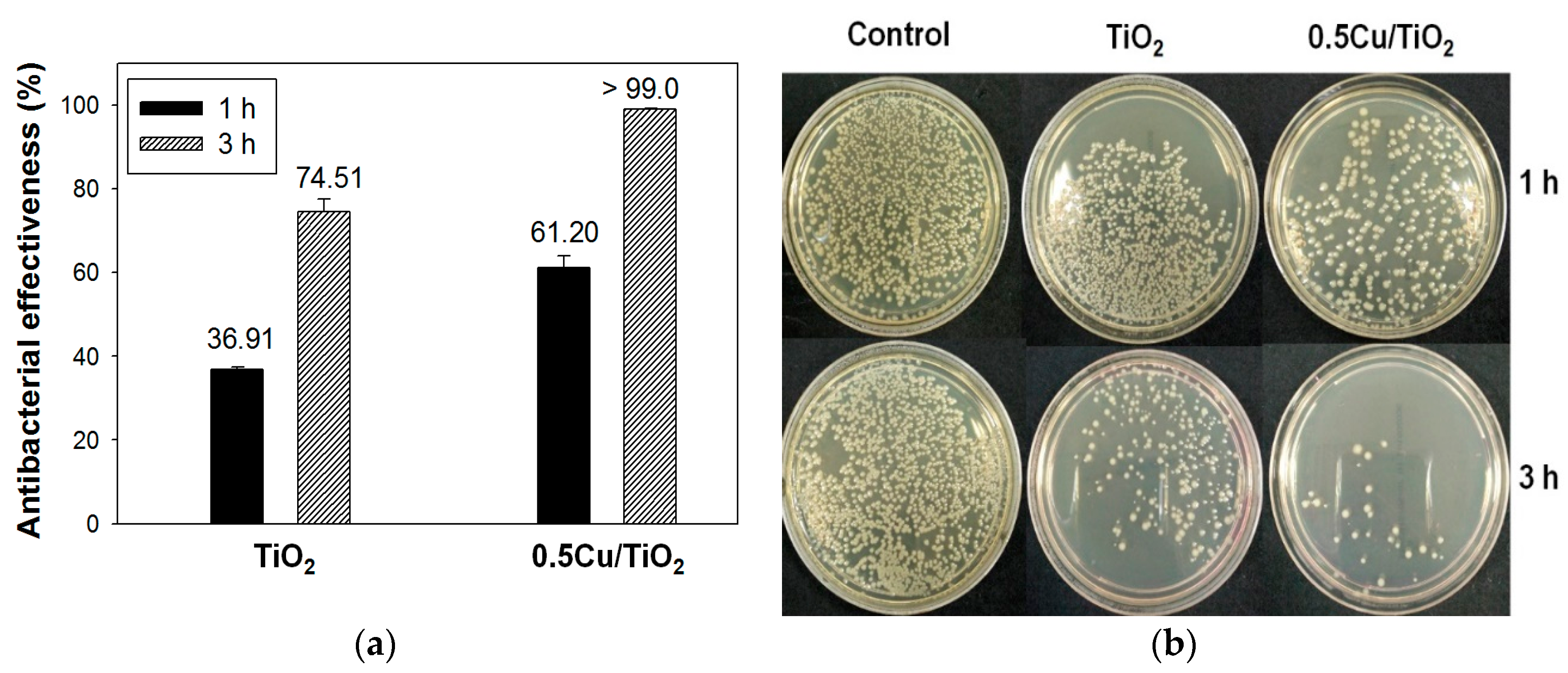 Catalysts 08 00352 g006 Catalysts 08 00352 g006