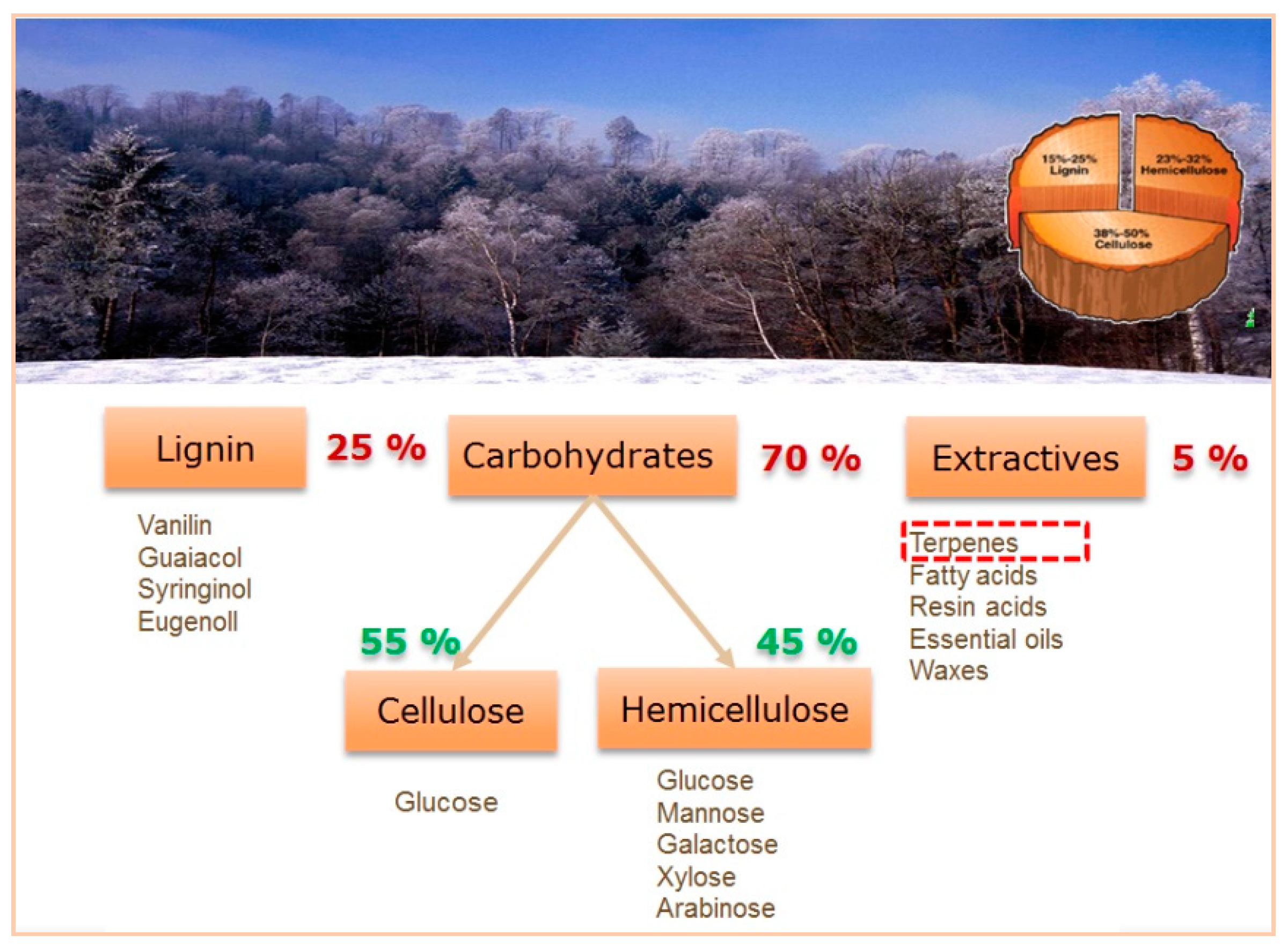 Catalysts 08 00365 g001 Catalysts 08 00365 g001