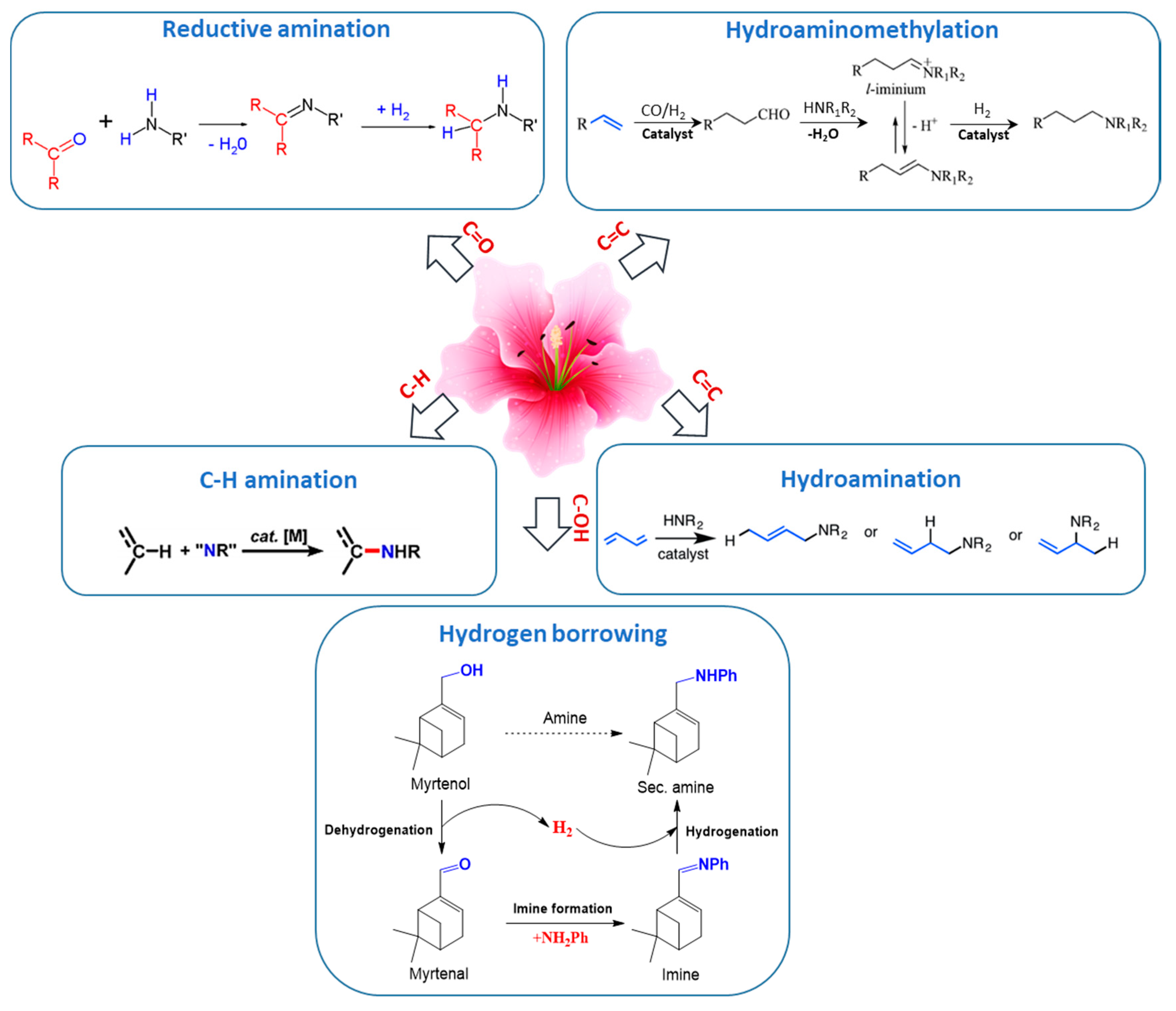 Catalysts 08 00365 g003 Catalysts 08 00365 g003