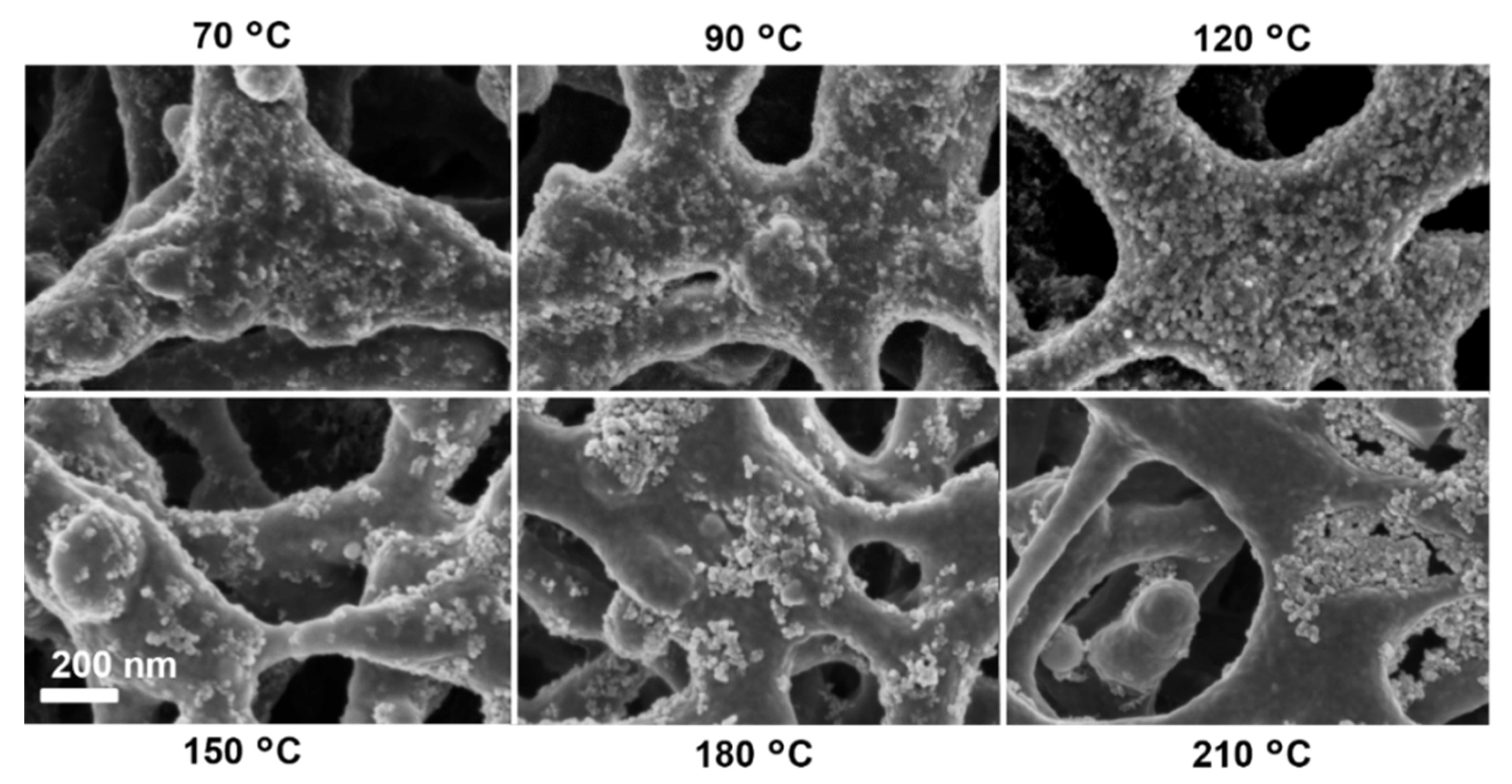 Catalysts 08 00376 g002