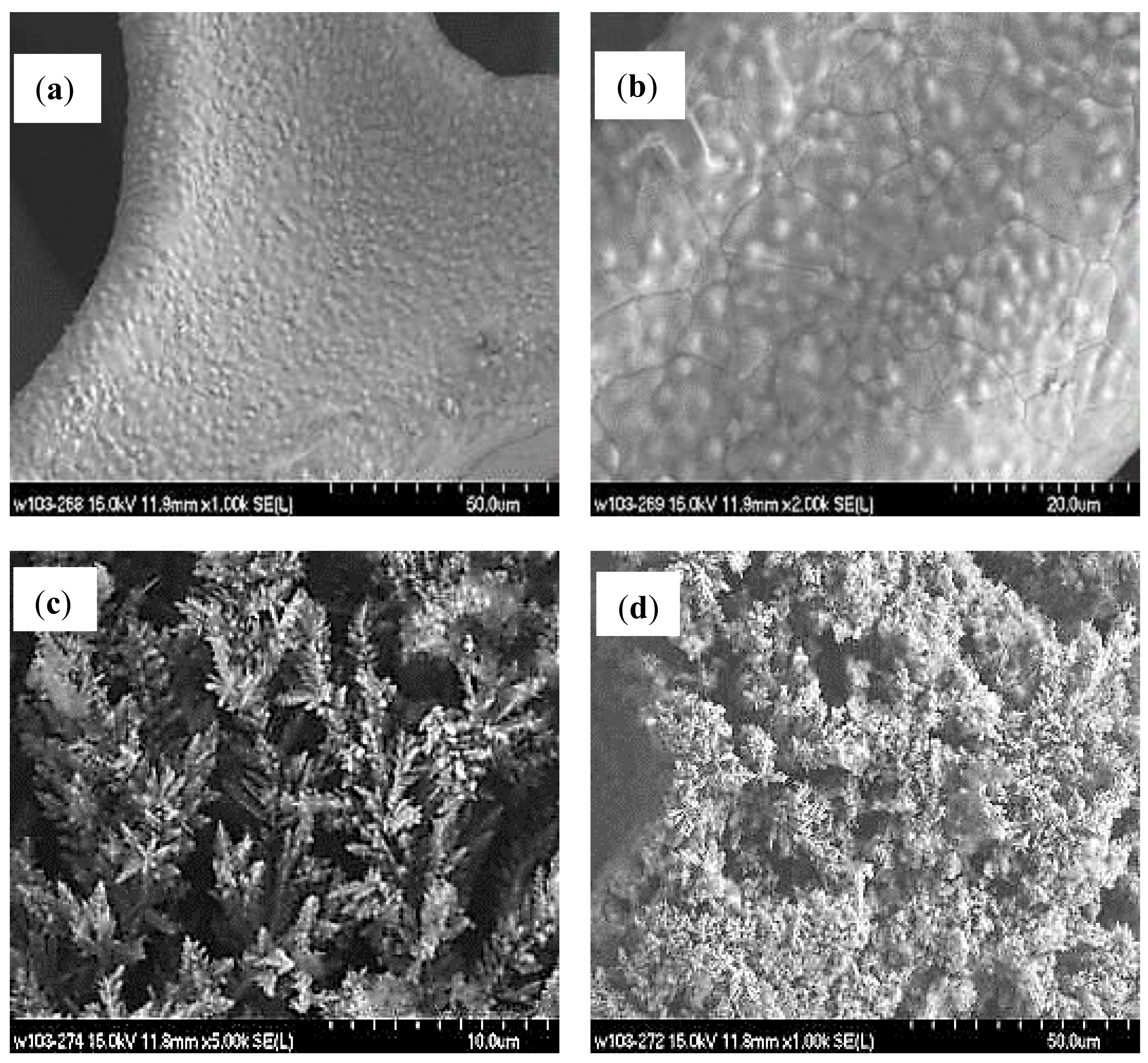 Catalysts 08 00378 g001