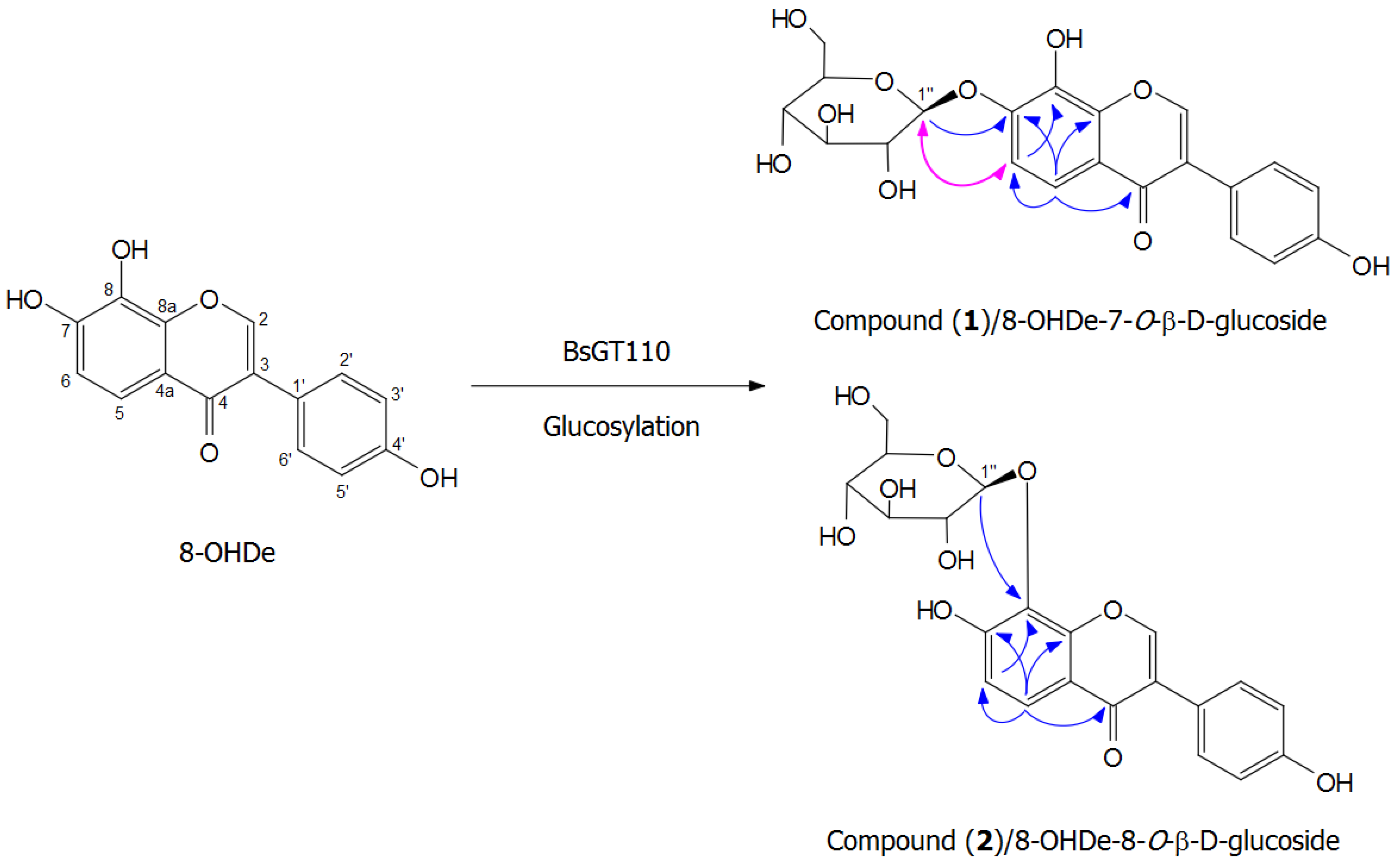 Catalysts 08 00387 g008