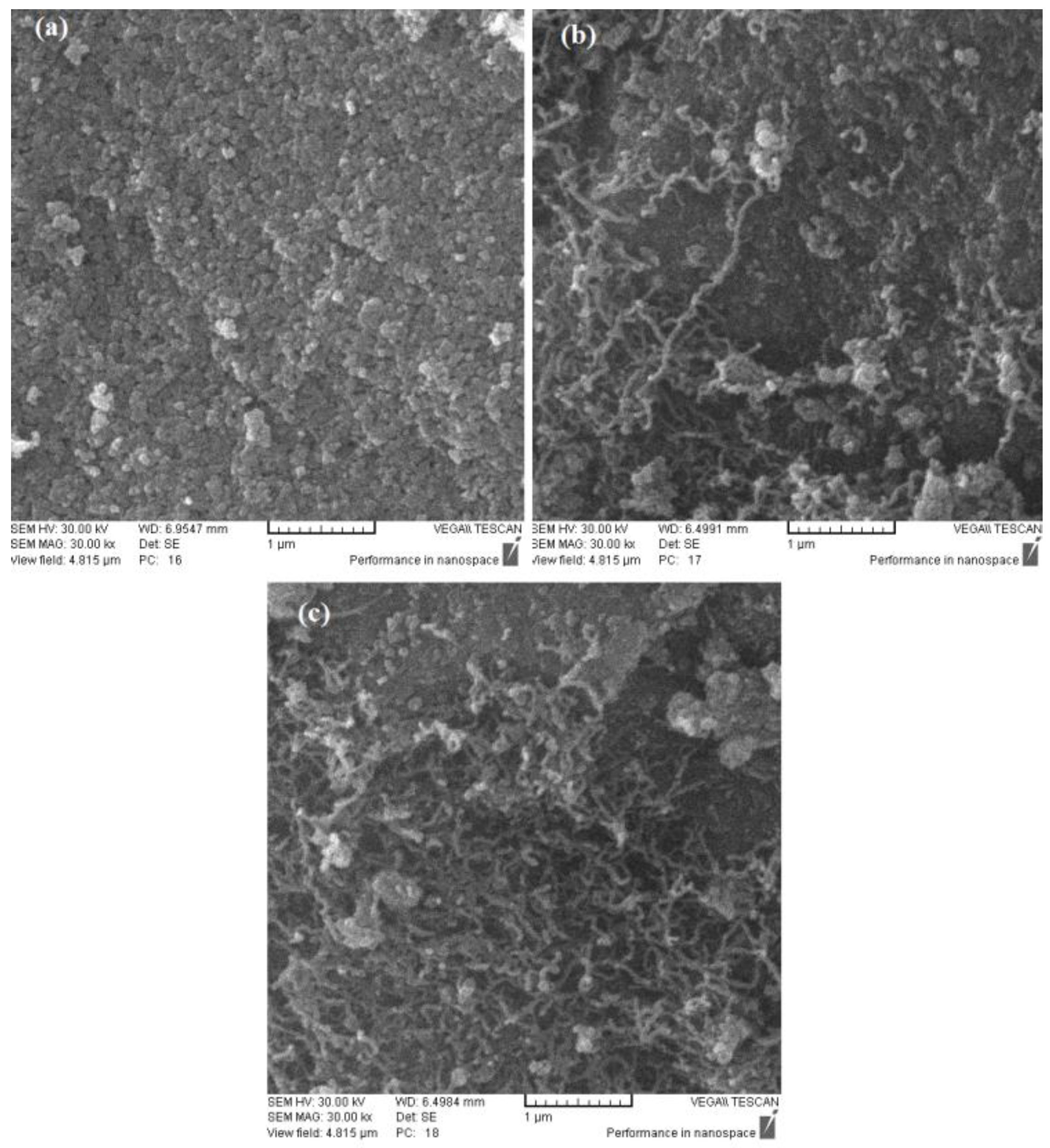 Catalysts 08 00388 g010