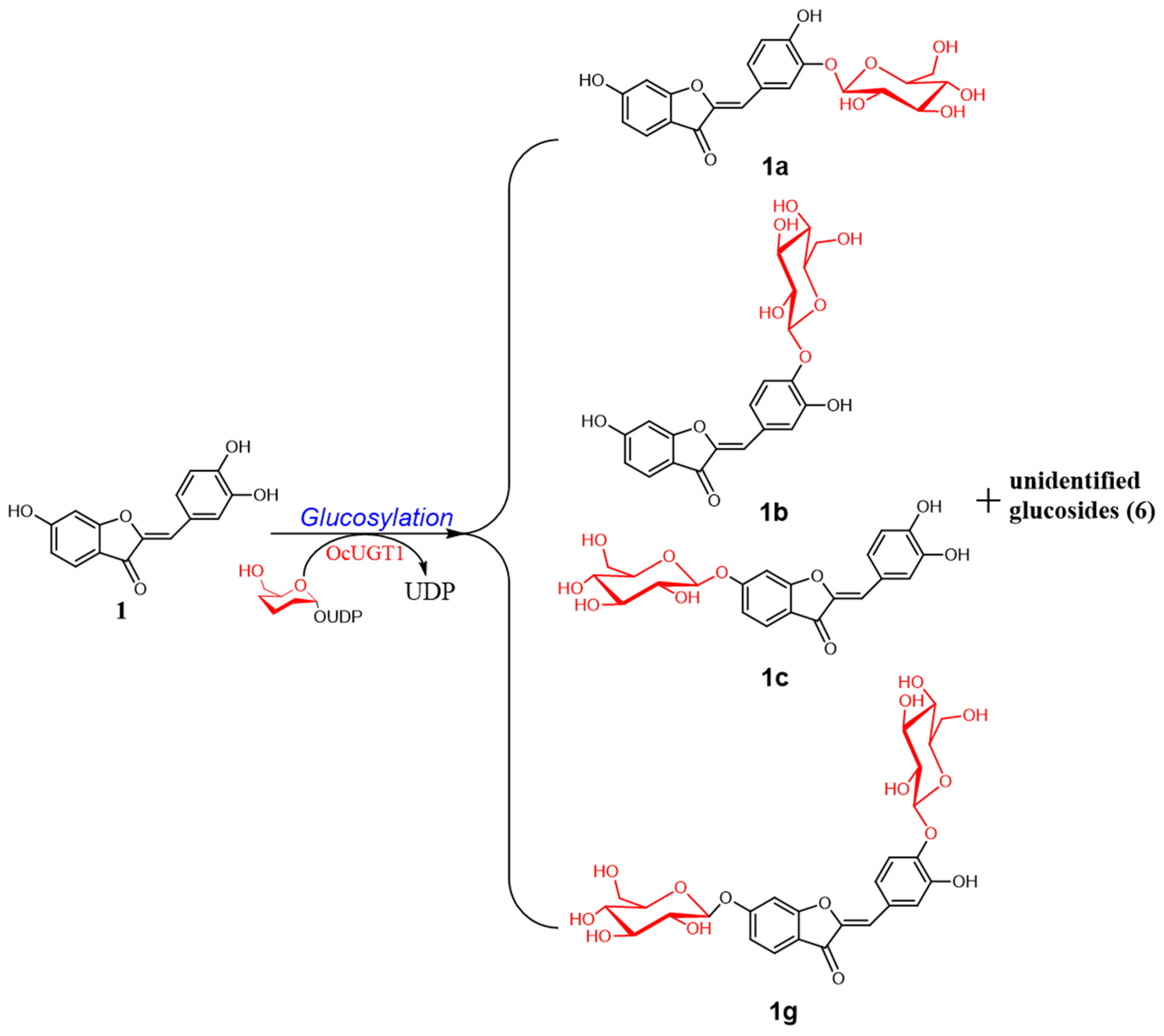 Catalysts 08 00416 g001
