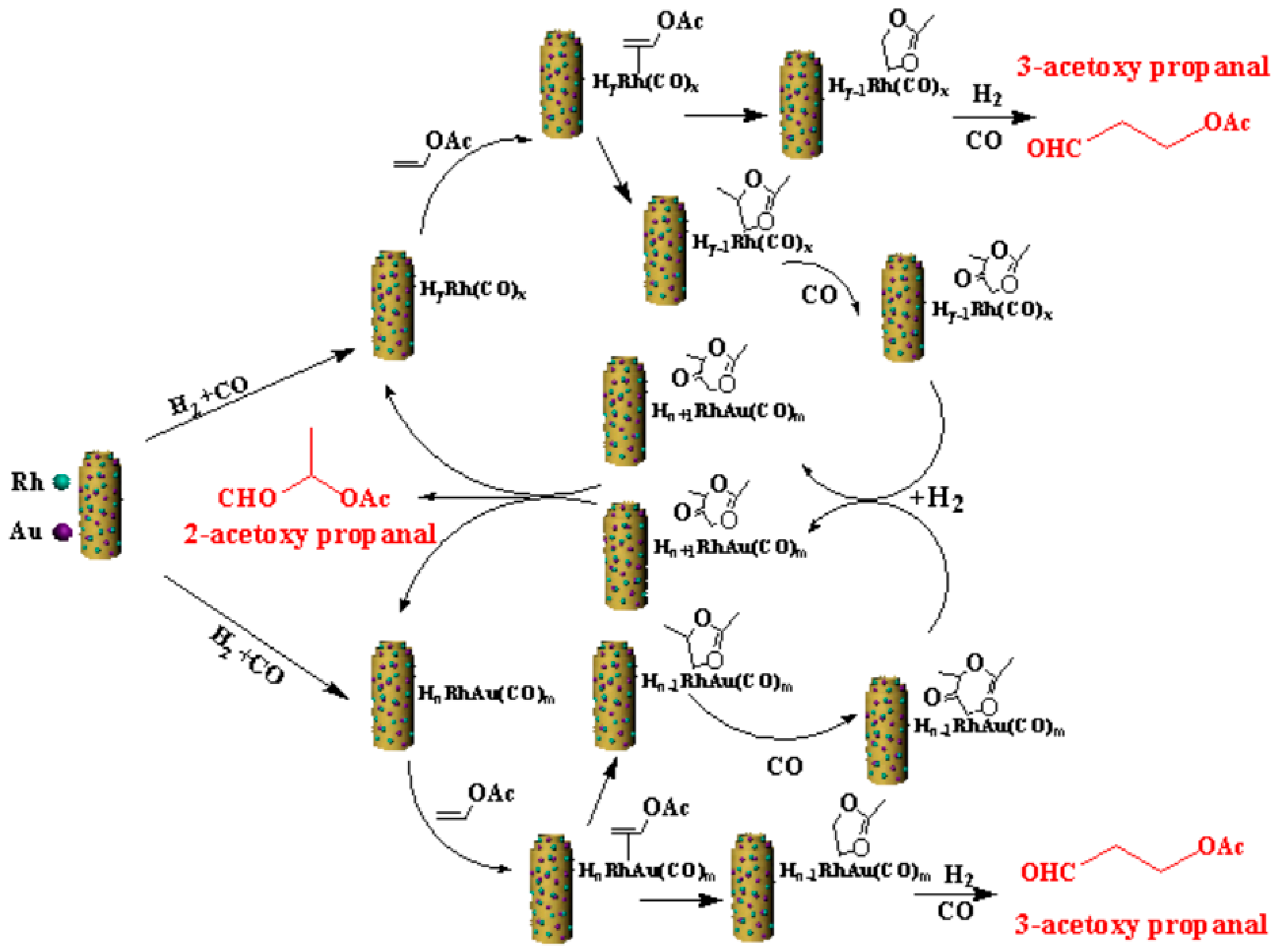 Catalysts 08 00420 sch002 Catalysts 08 00420 sch002